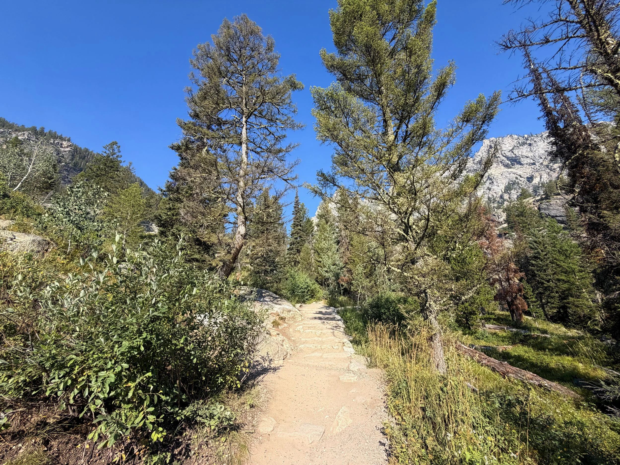 Hidden Falls Trail Grand Teton National Park Wyoming