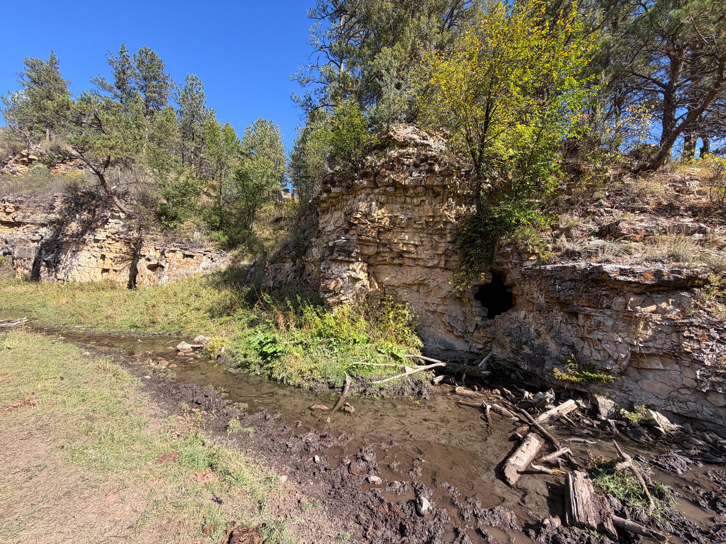 Lookout Point Loop Trail Wind Cave National Park South Dakota