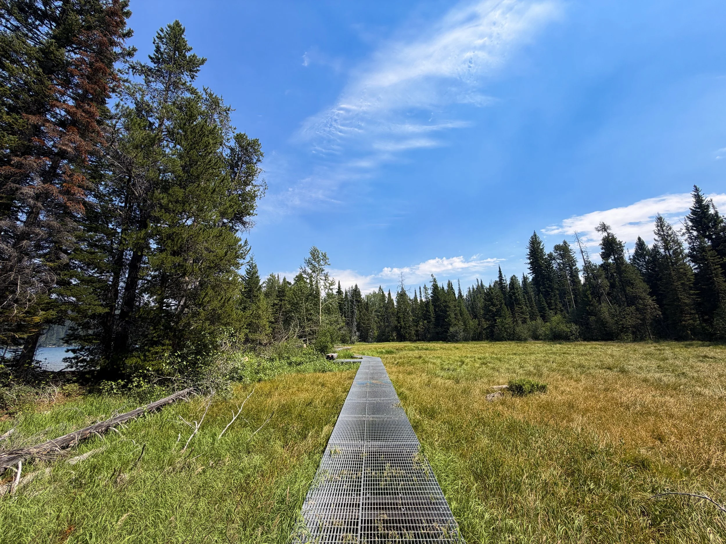 Phelps Lake Loop Trail Boardwalk Grand Teton National Park Wyoming