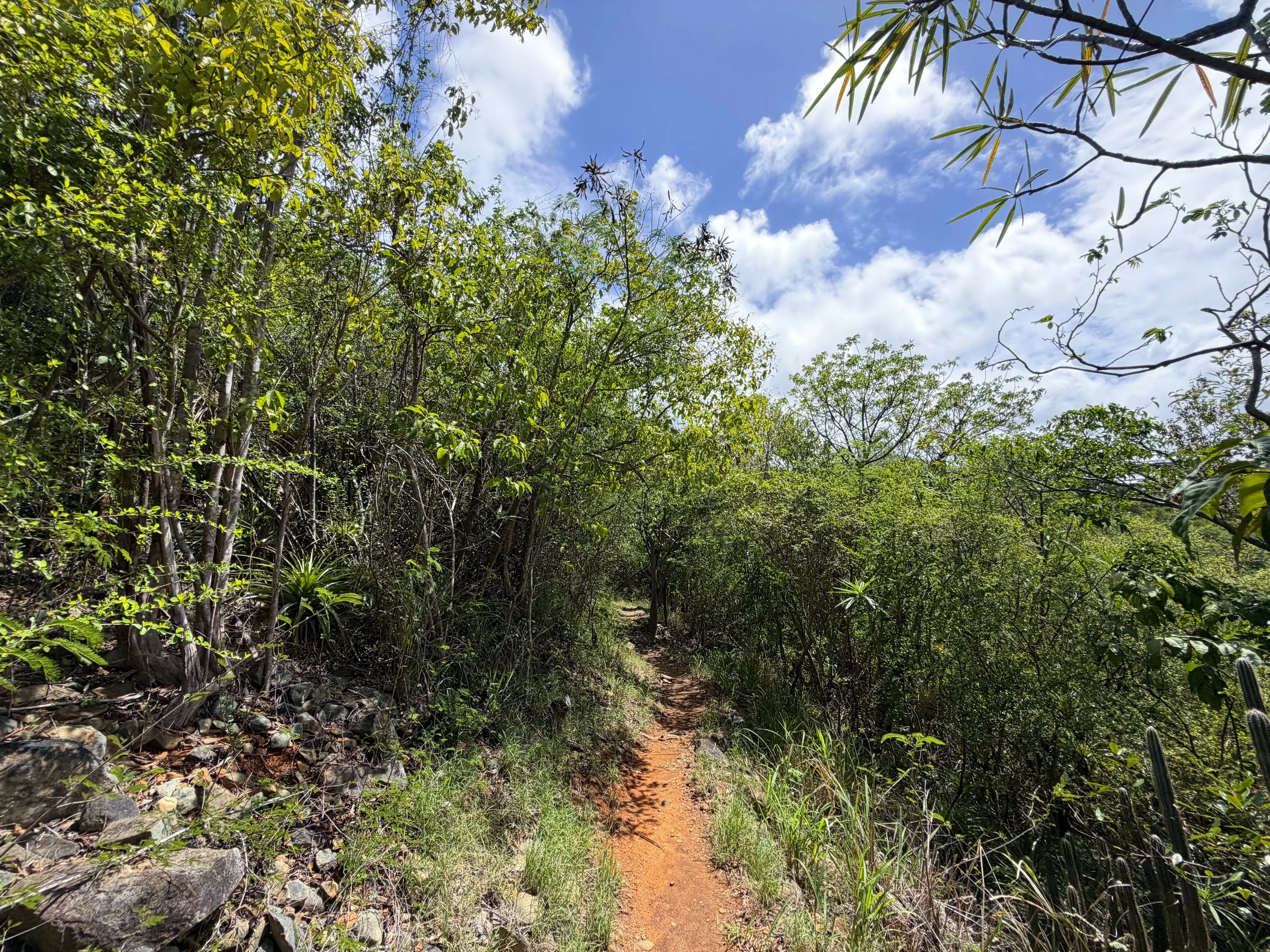 Lind Point Trail Virgin Islands National Park