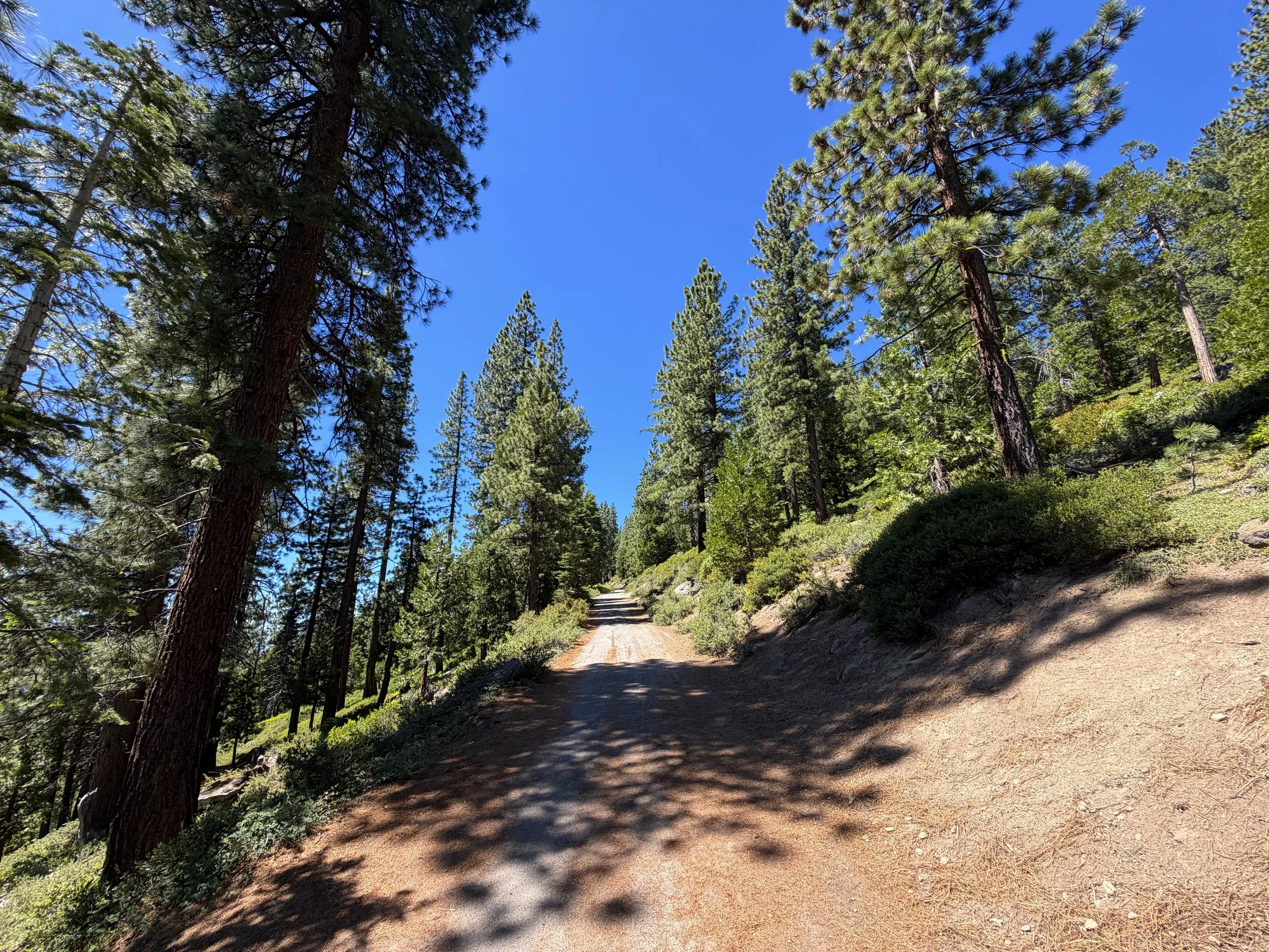 State Line Lookout Trail Lake Tahoe Nevada
