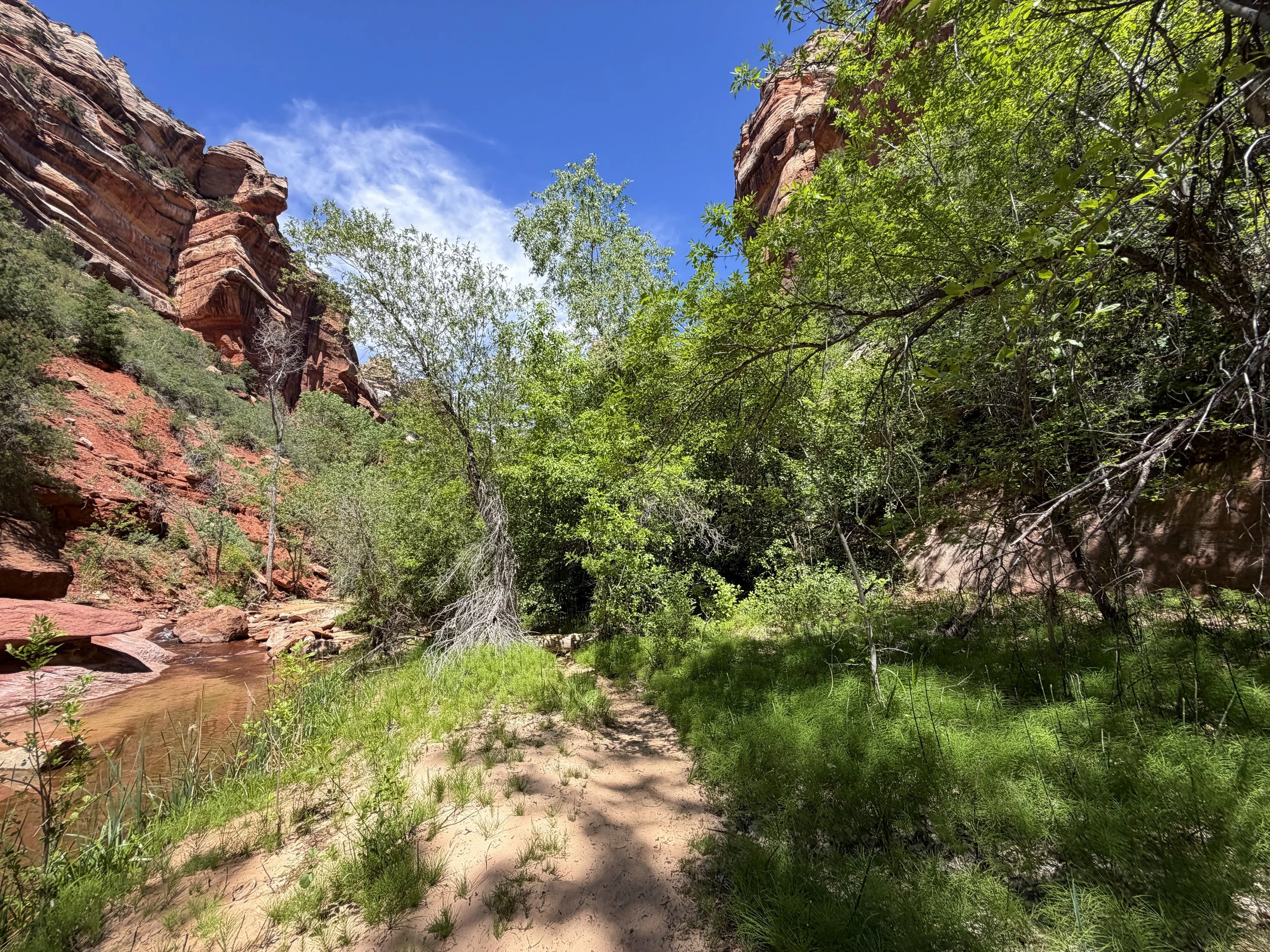 Left Fork Trail to the Subway Zion National Park Utah