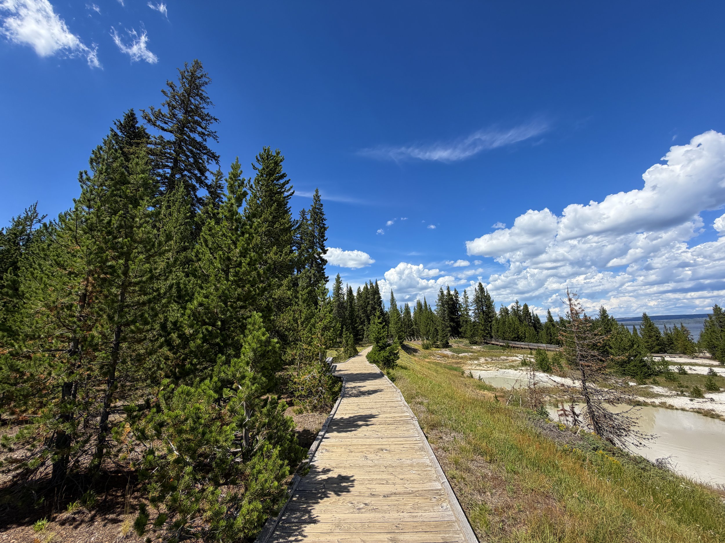 West Thumb Geyser Basin Trail Yellowstone National Park Wyoming