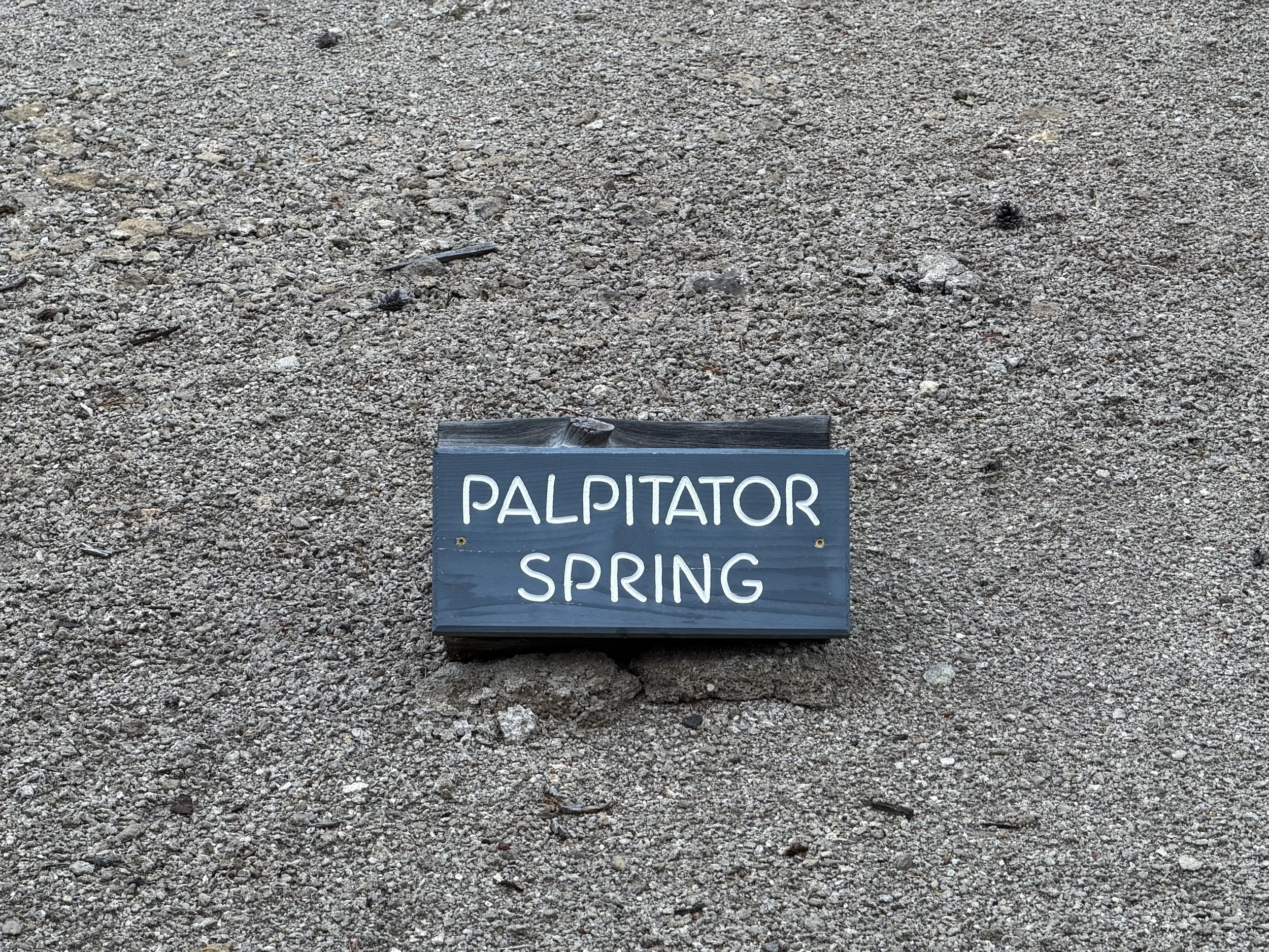 Palpitator Spring Norris Geyser Basin Trail Yellowstone National Park Wyoming