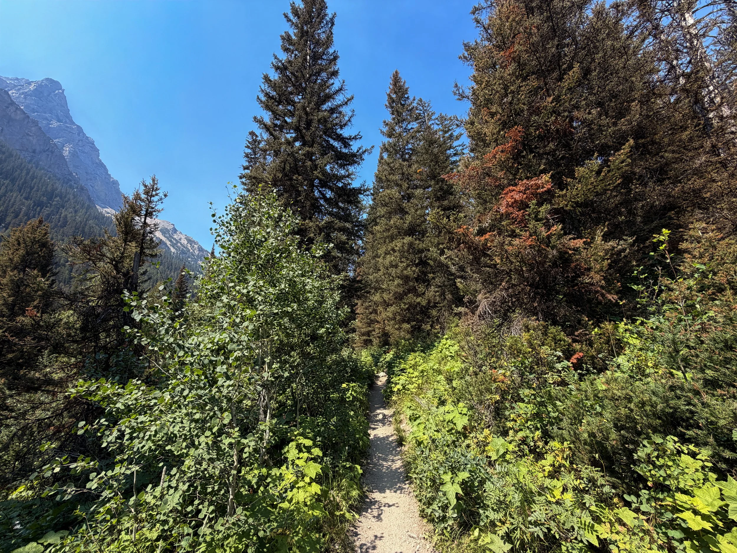 Cascade Canyon Trail Grand Teton National Park Wyoming