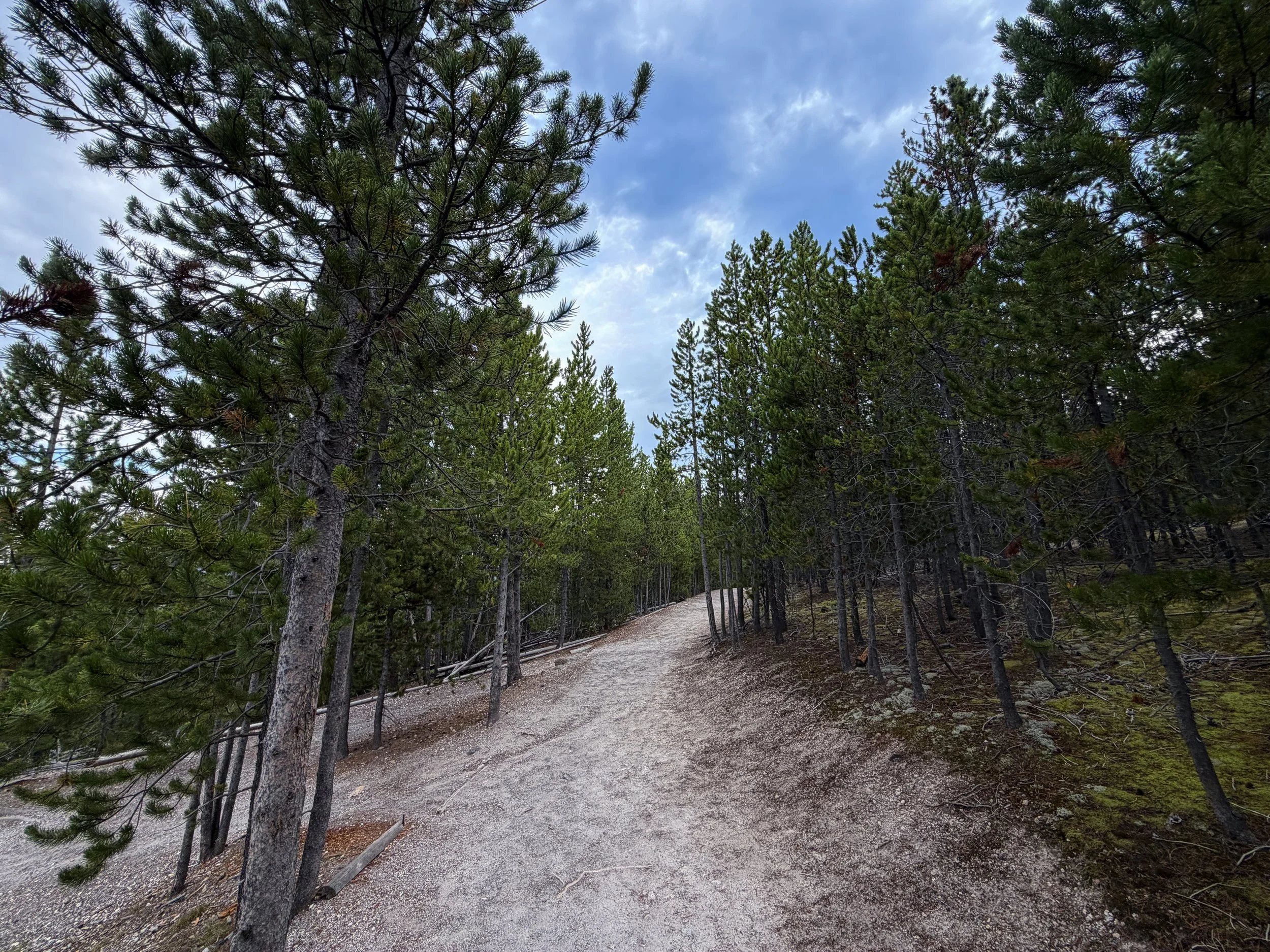 Norris Geyser Basin Trail Yellowstone National Park Wyoming
