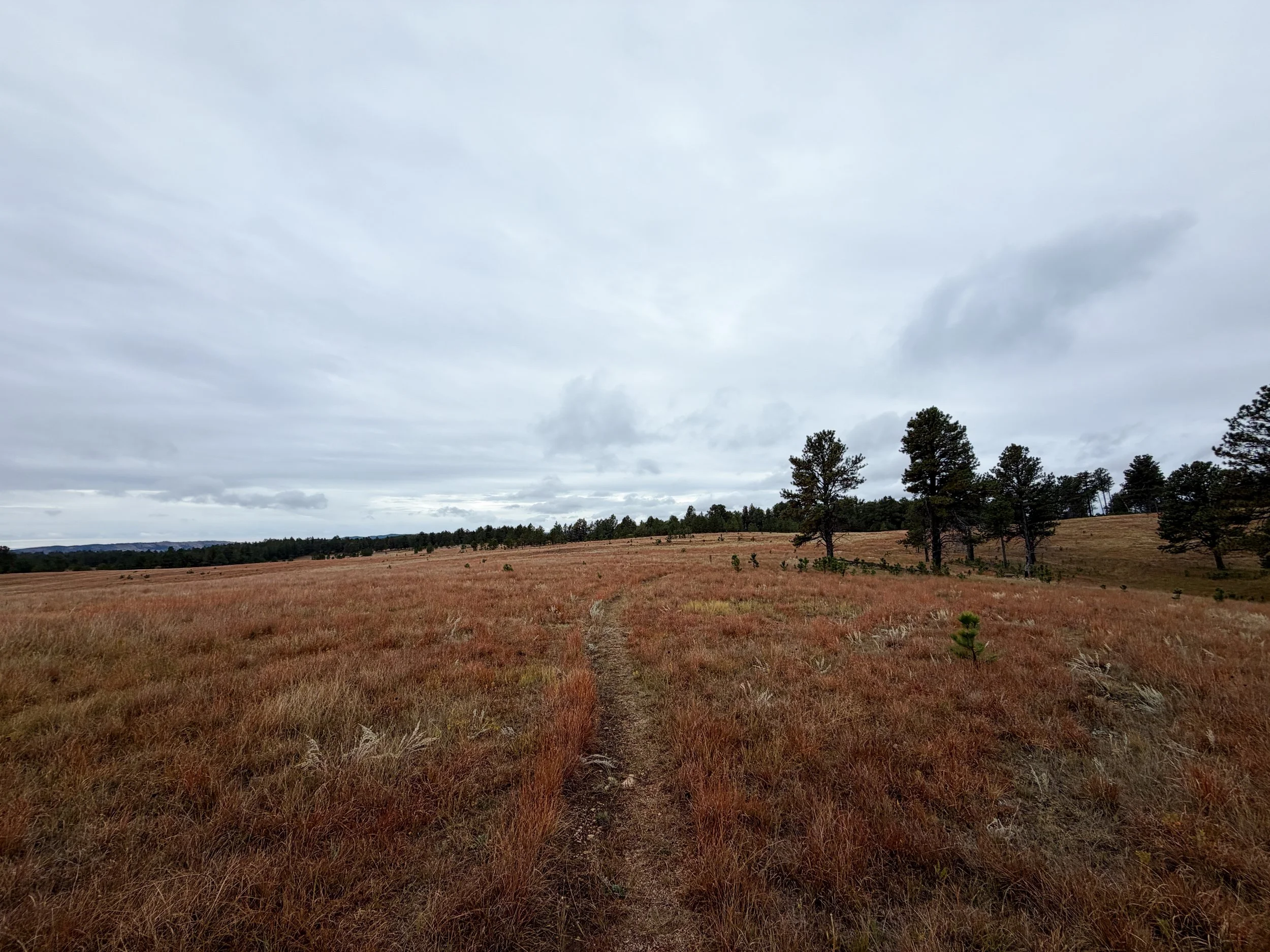 Highland Creek Hike Wind Cave National Park South Dakota