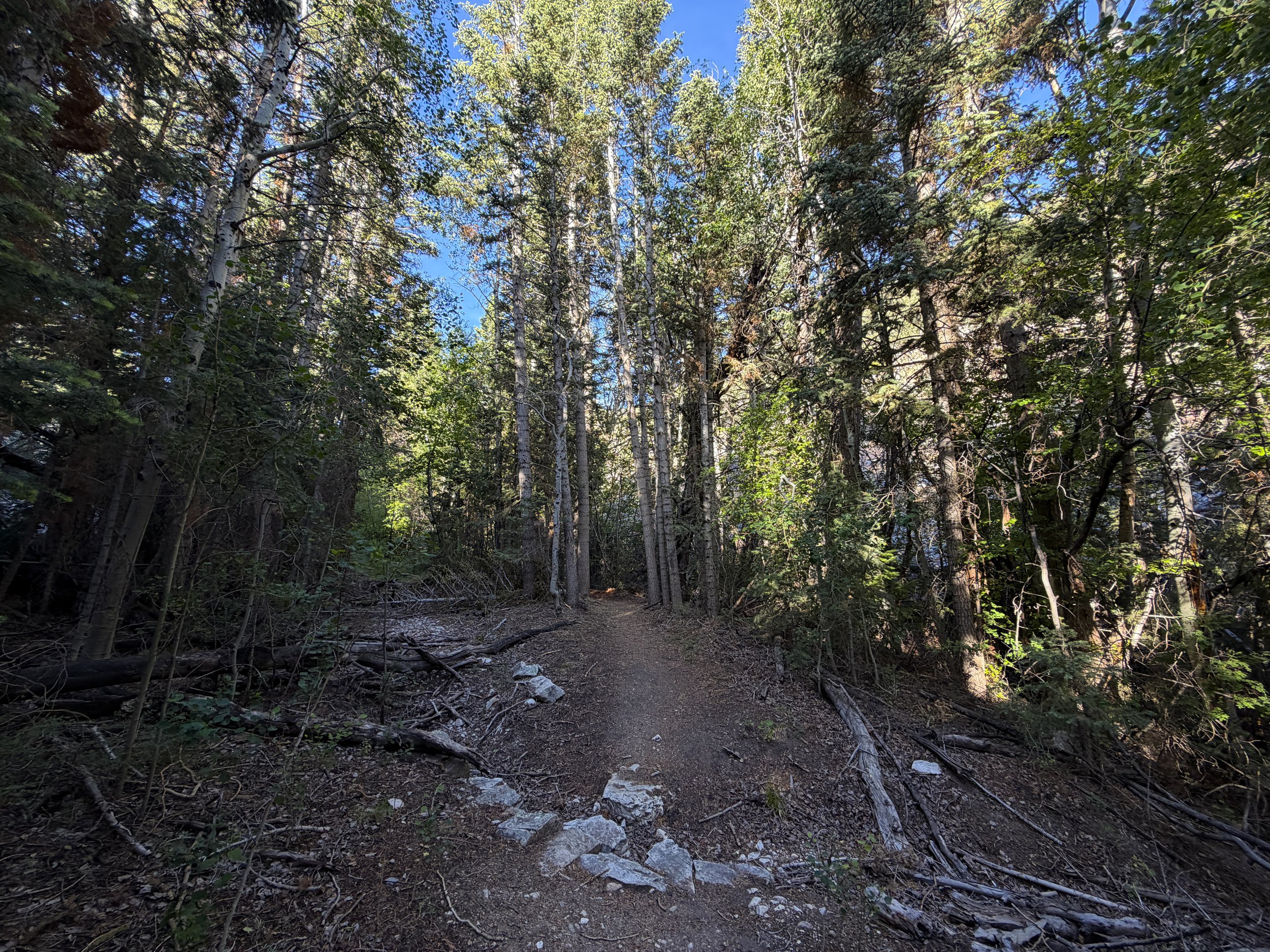 Pole Canyon Loop Trail Great Basin National Park Nevada