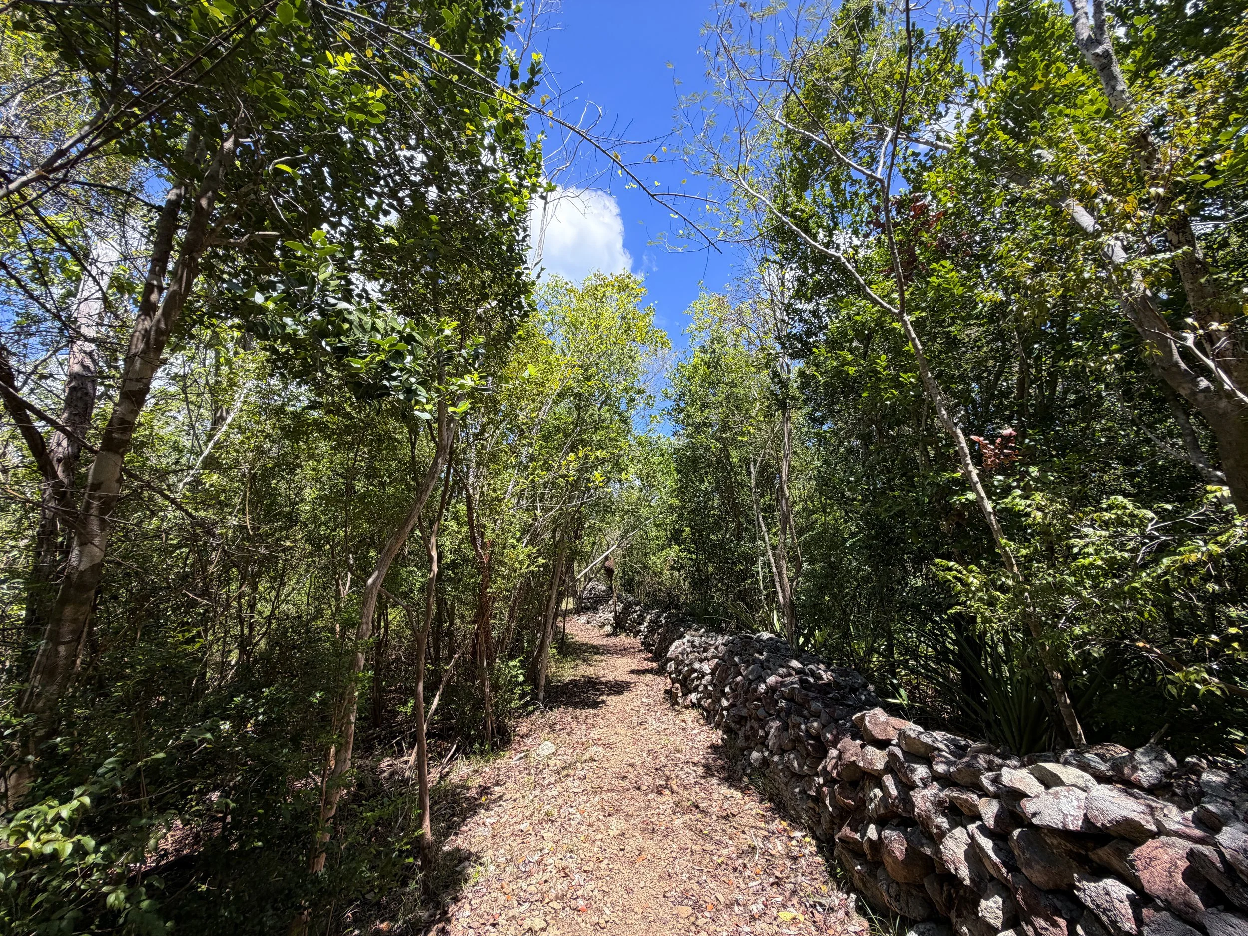 Caneel Hill Trail Virgin Islands National Park