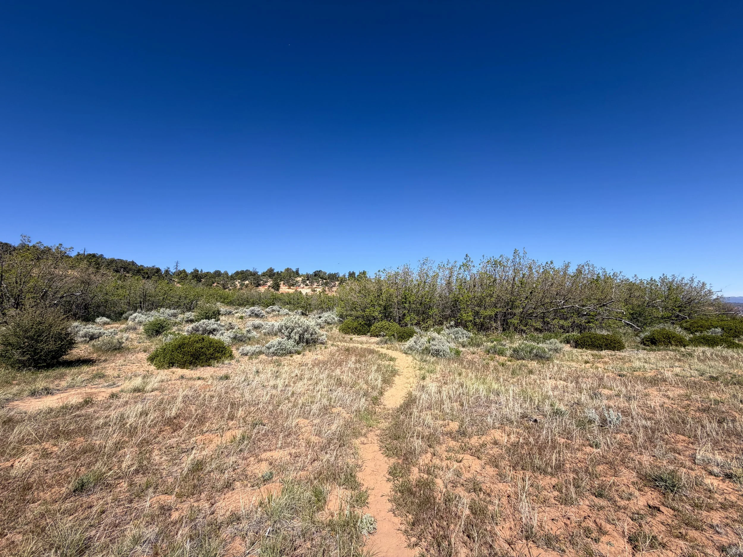 Deertrap Mountain Trail Zion National Park Utah
