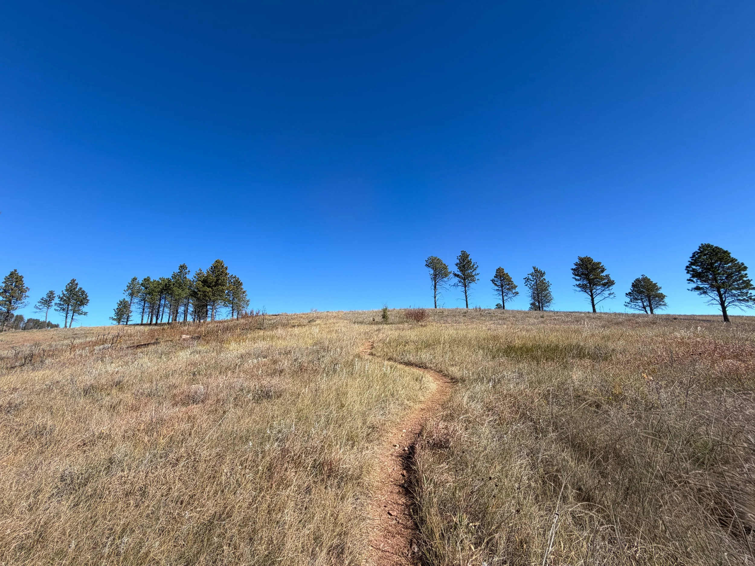 Elk Mountain Nature Trail Wind Cave National Park South Dakota
