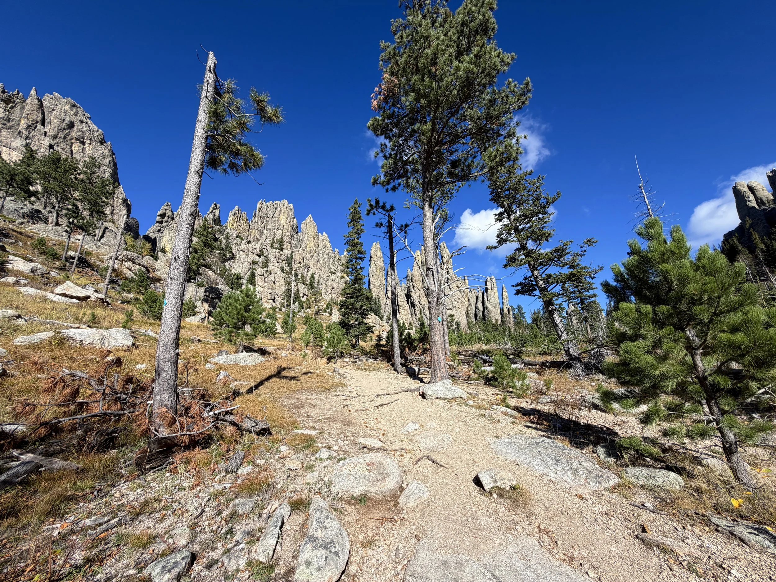 Cathedral Spires Trail Custer State Park Black Hills South Dakota
