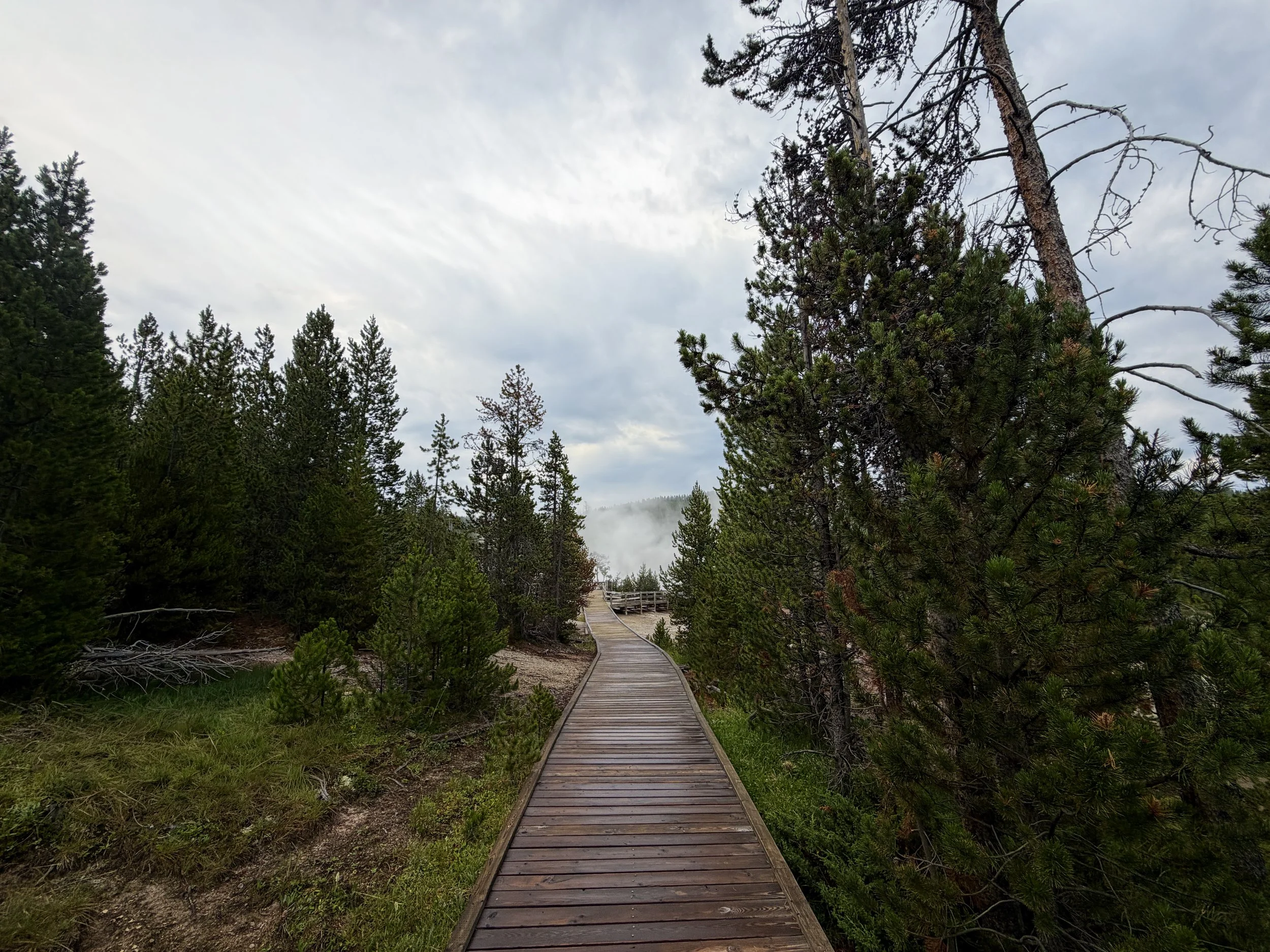 Back Basin Loop Trail Norris Geyser Basin Yellowstone National Park Wyoming