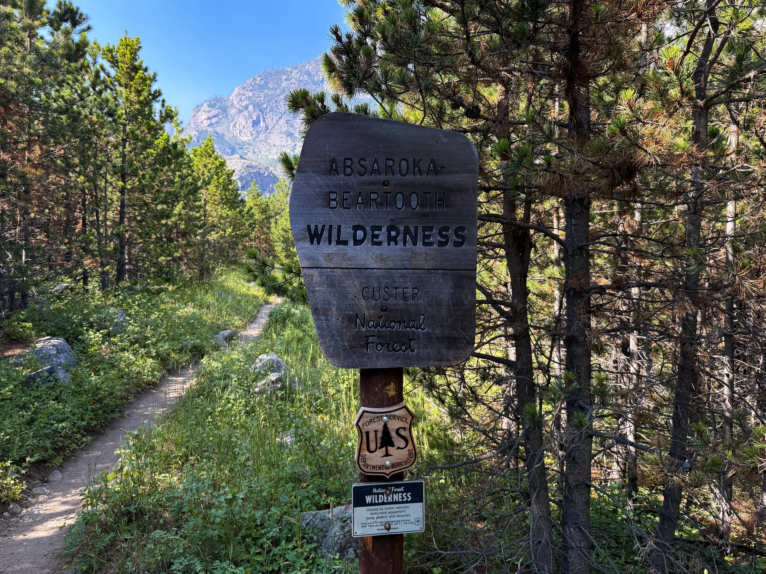 Beaten Path Trail Beartooth Mountains Montana