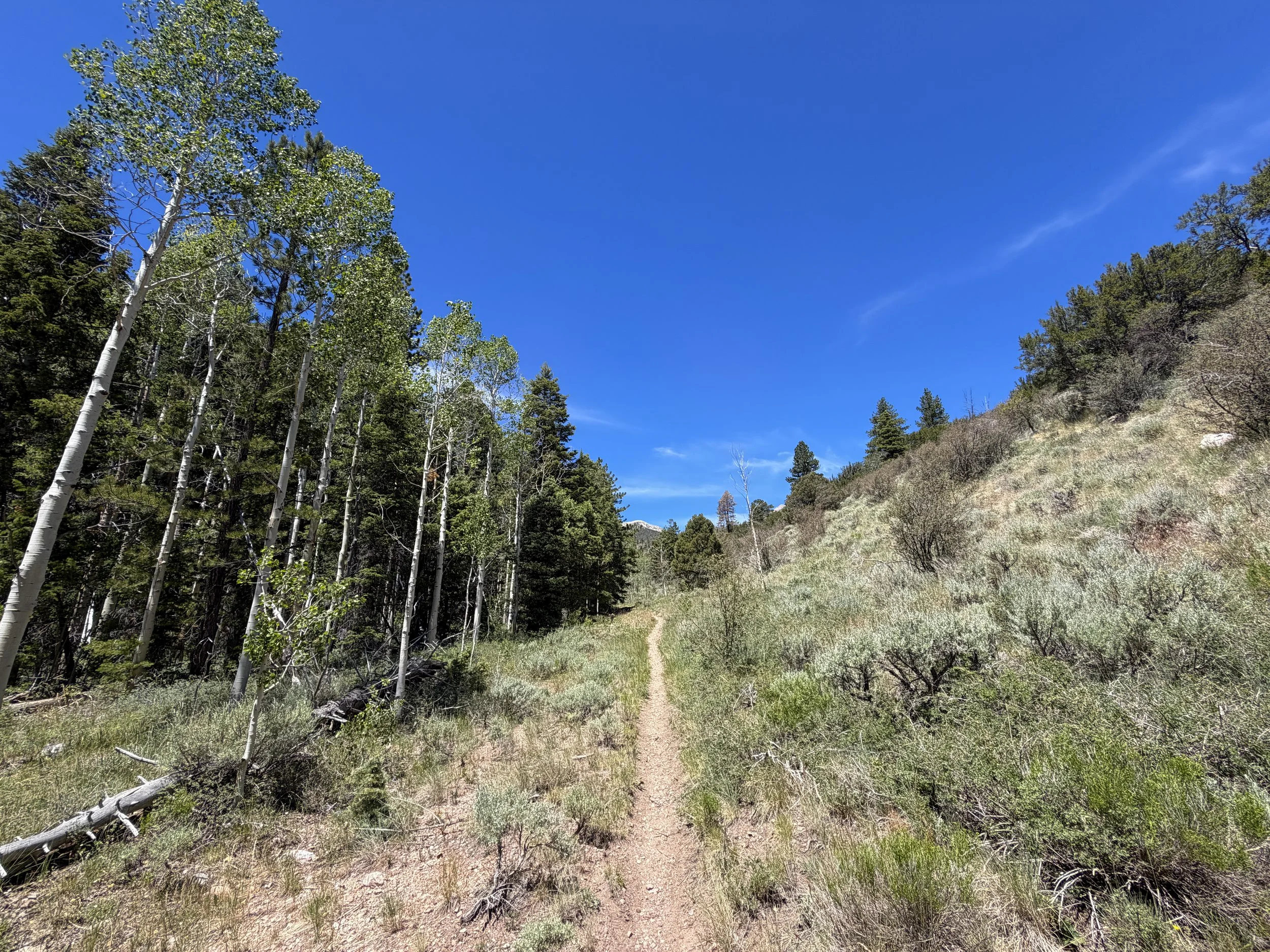 Dead Lake Trail Great Basin National Park Nevada