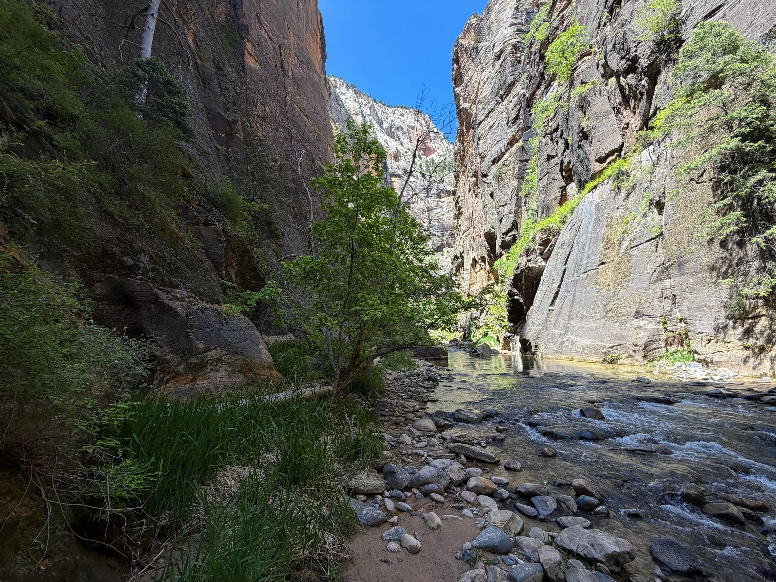 The Narrows Hike Zion National Park Utah