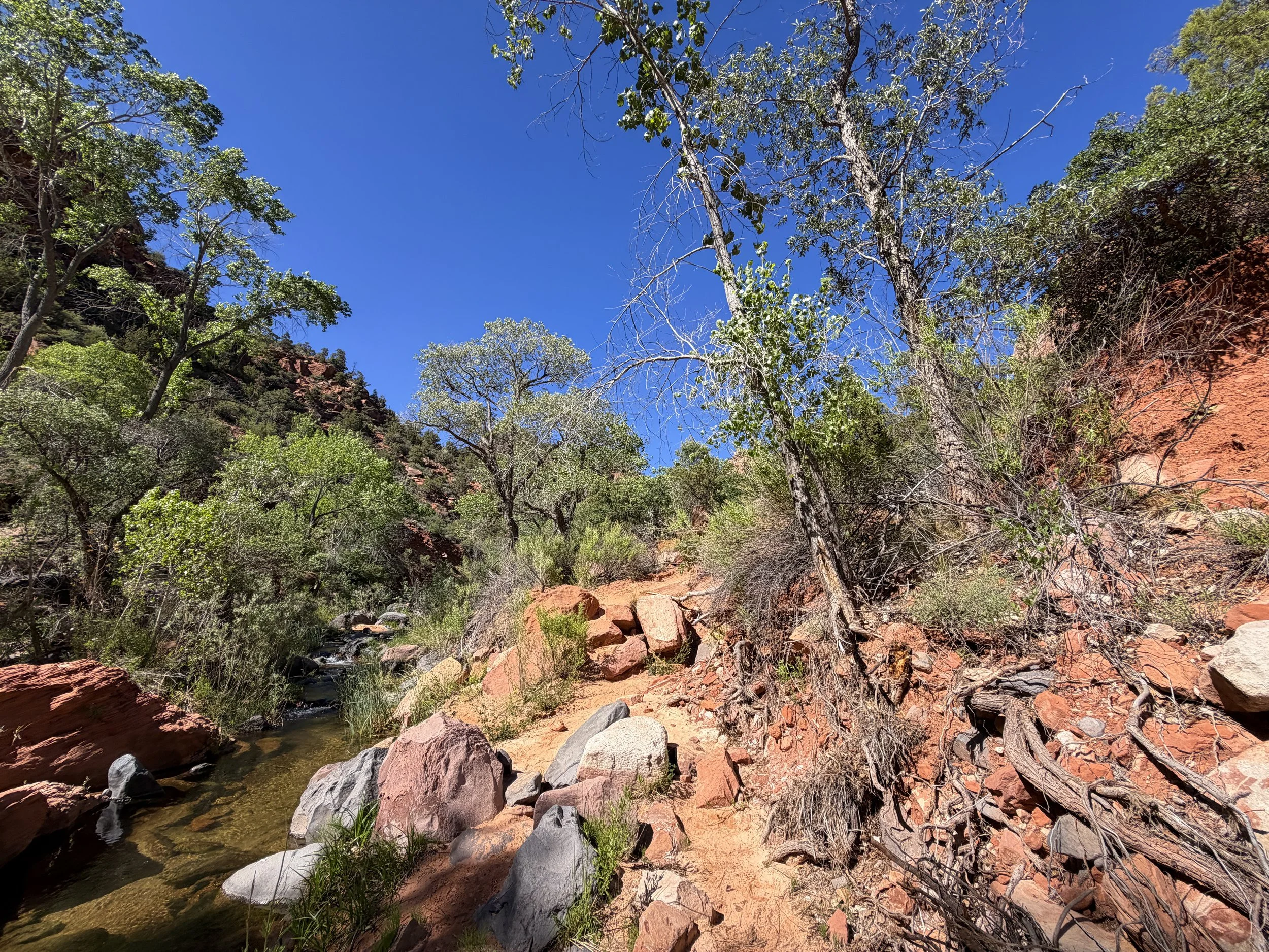 Subway Trail Bottom–Up Route Zion National Park Utah