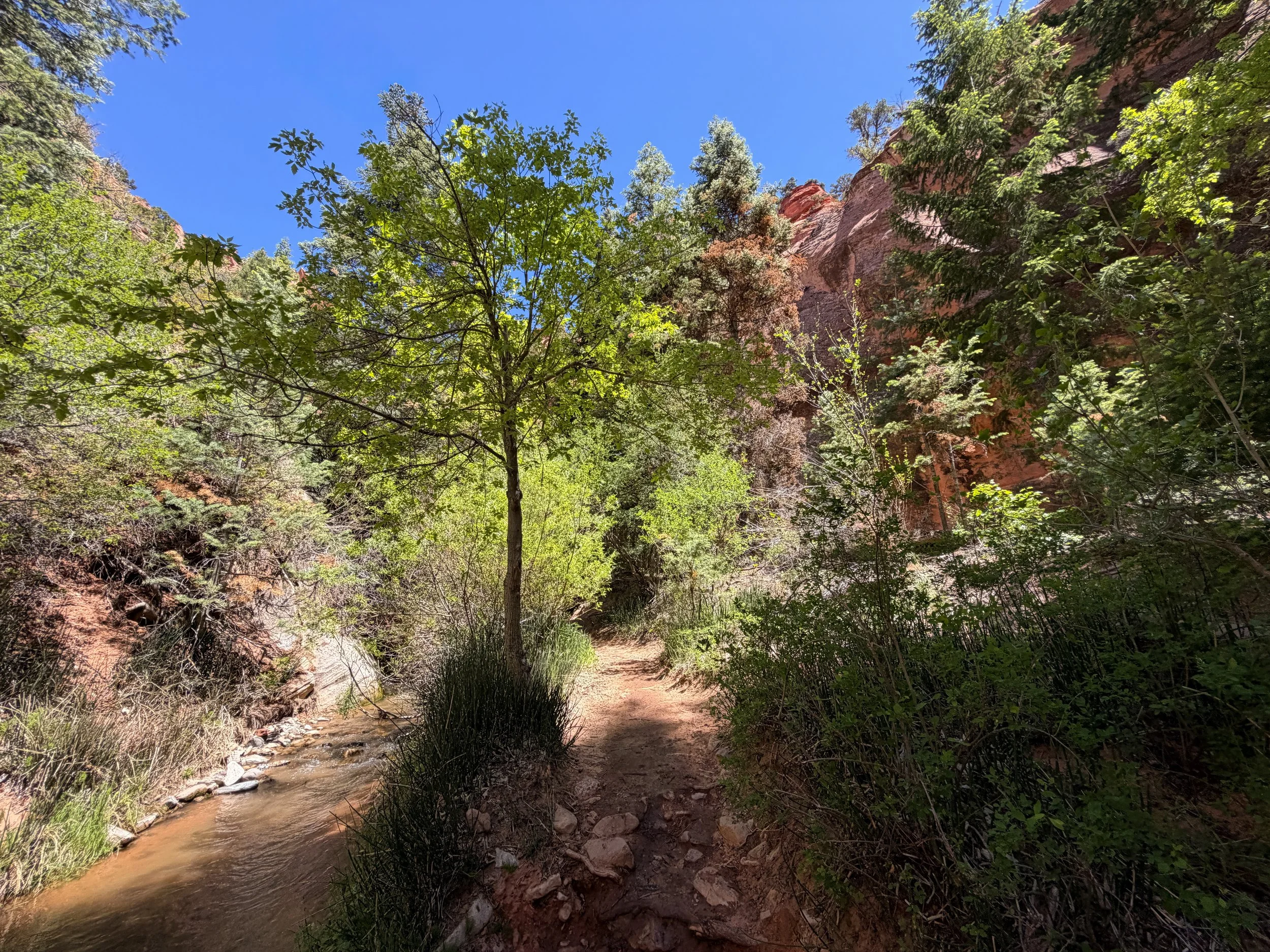 Kanarra Falls Trail Kanarraville Utah
