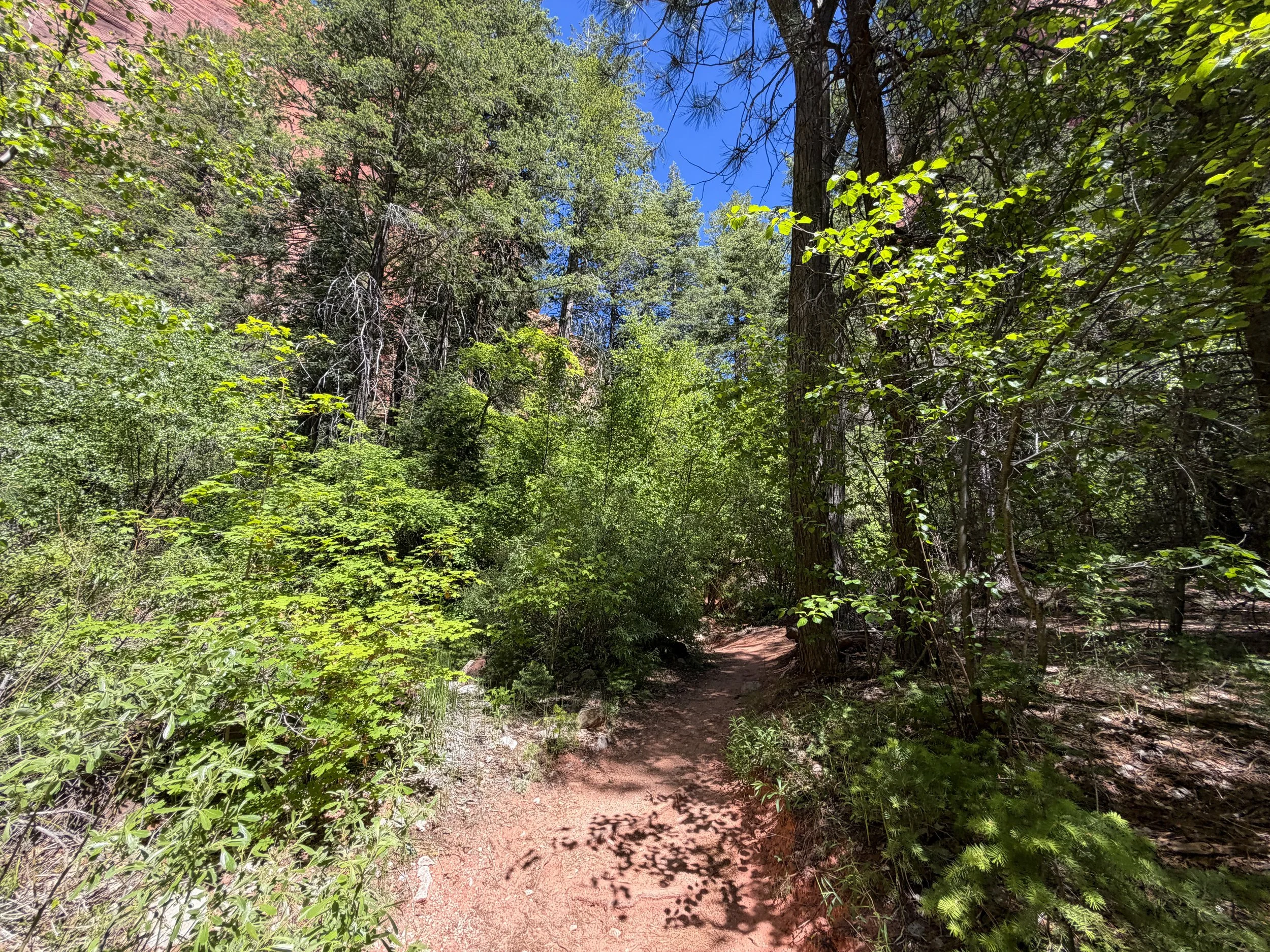 Taylor Creek Hike Zion National Park Utah