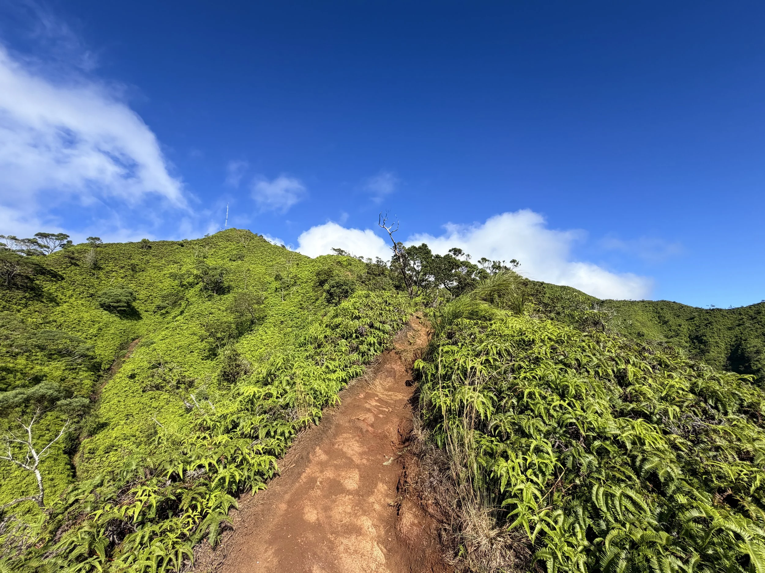 Wiliwilinui Ridge Hike Oahu Hawaii