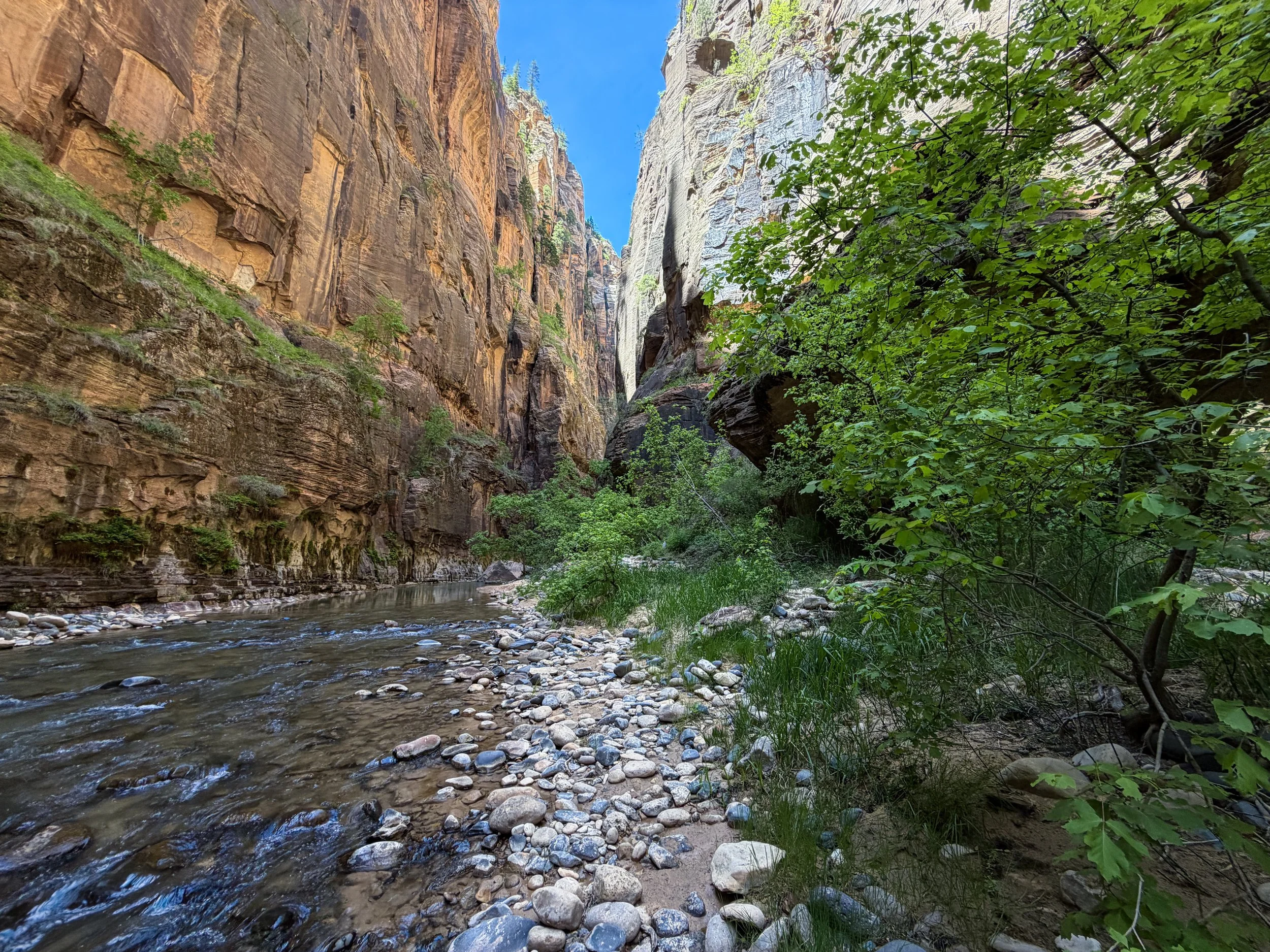 The Narrows Bottom-Up Hike to Big Springs Zion National Park Utah