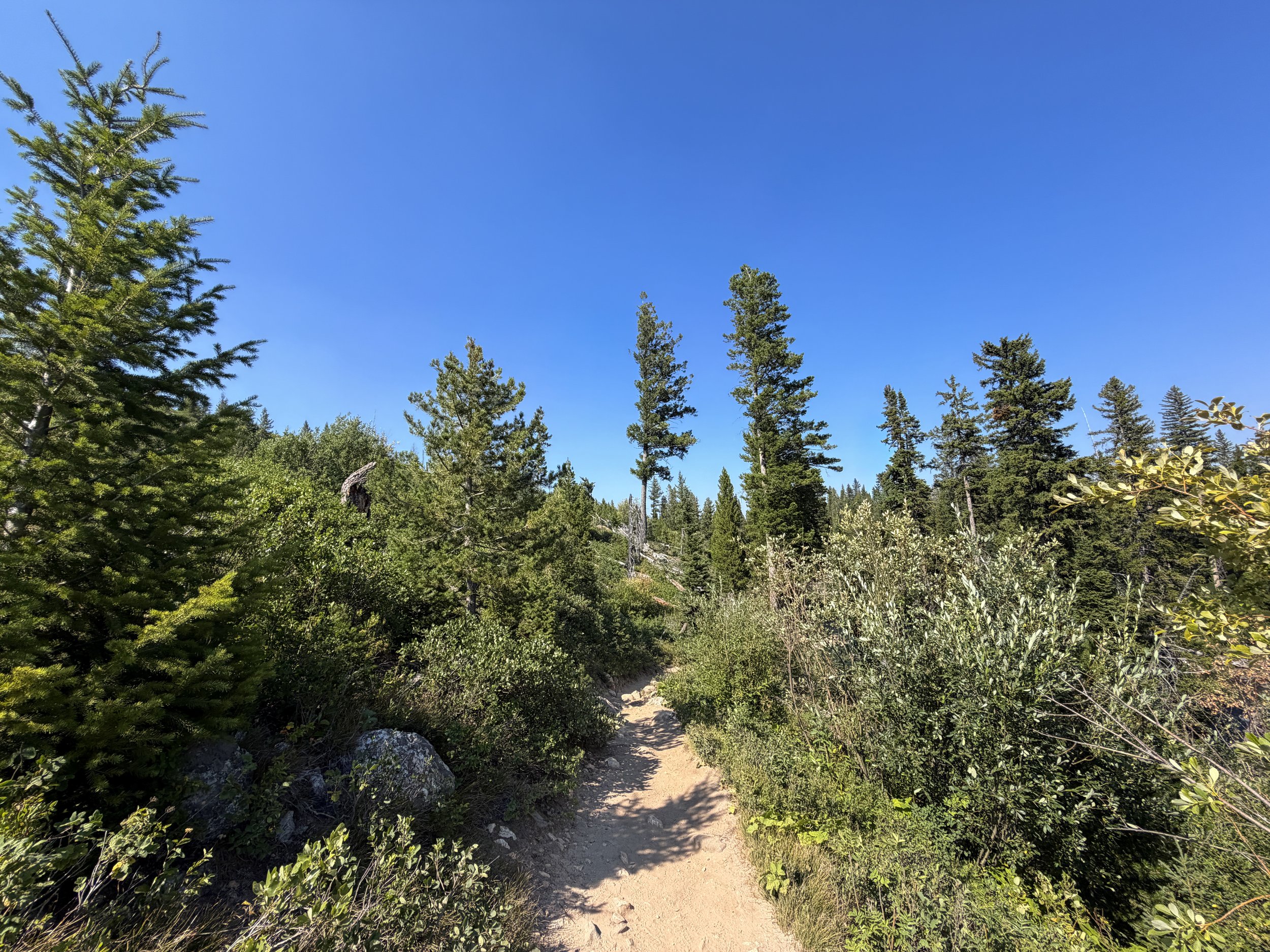 Jenny Lake Loop Trail Grand Teton National Park Wyoming