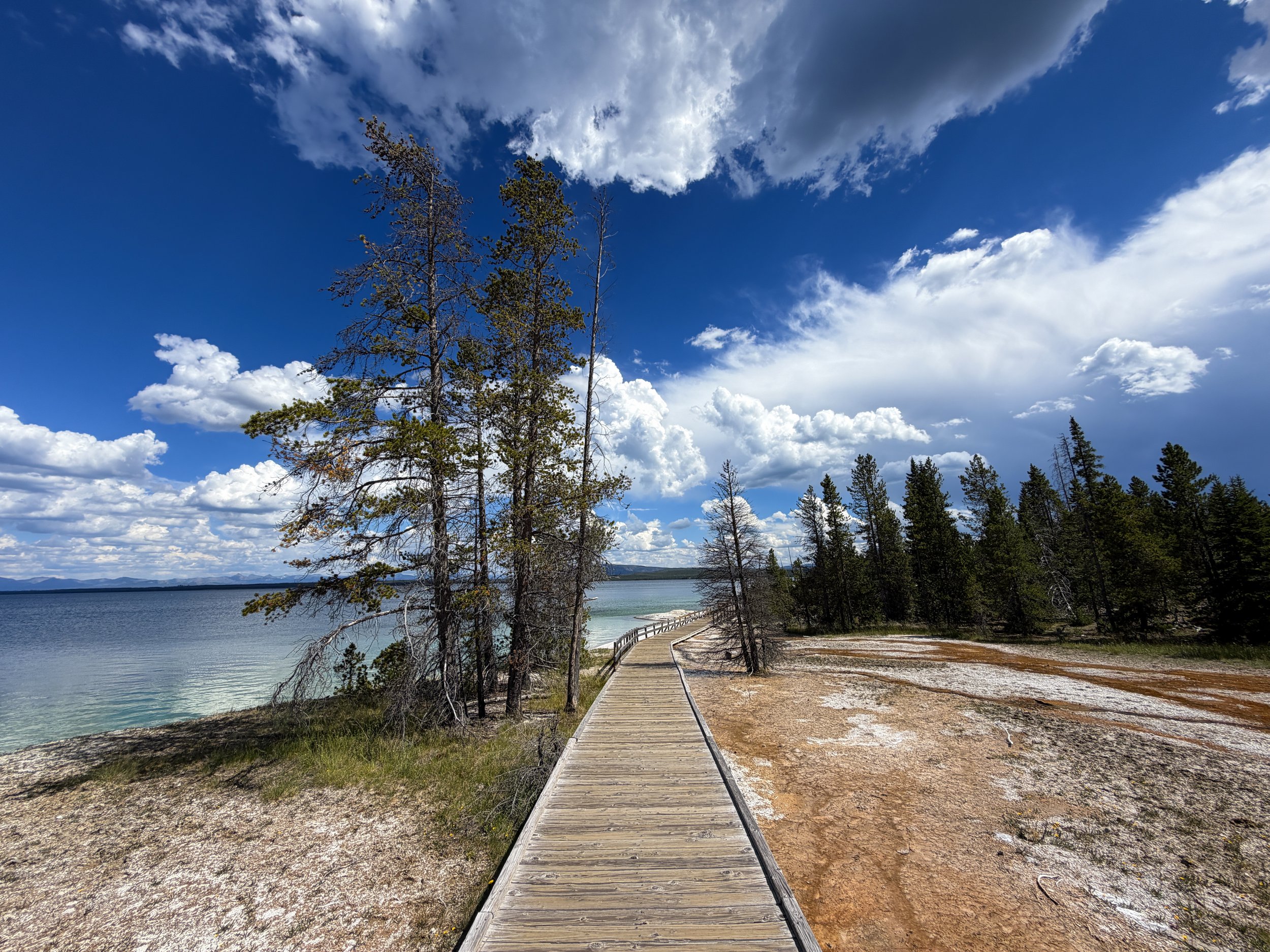 West Thumb Geyser Basin Trail Yellowstone National Park Wyoming