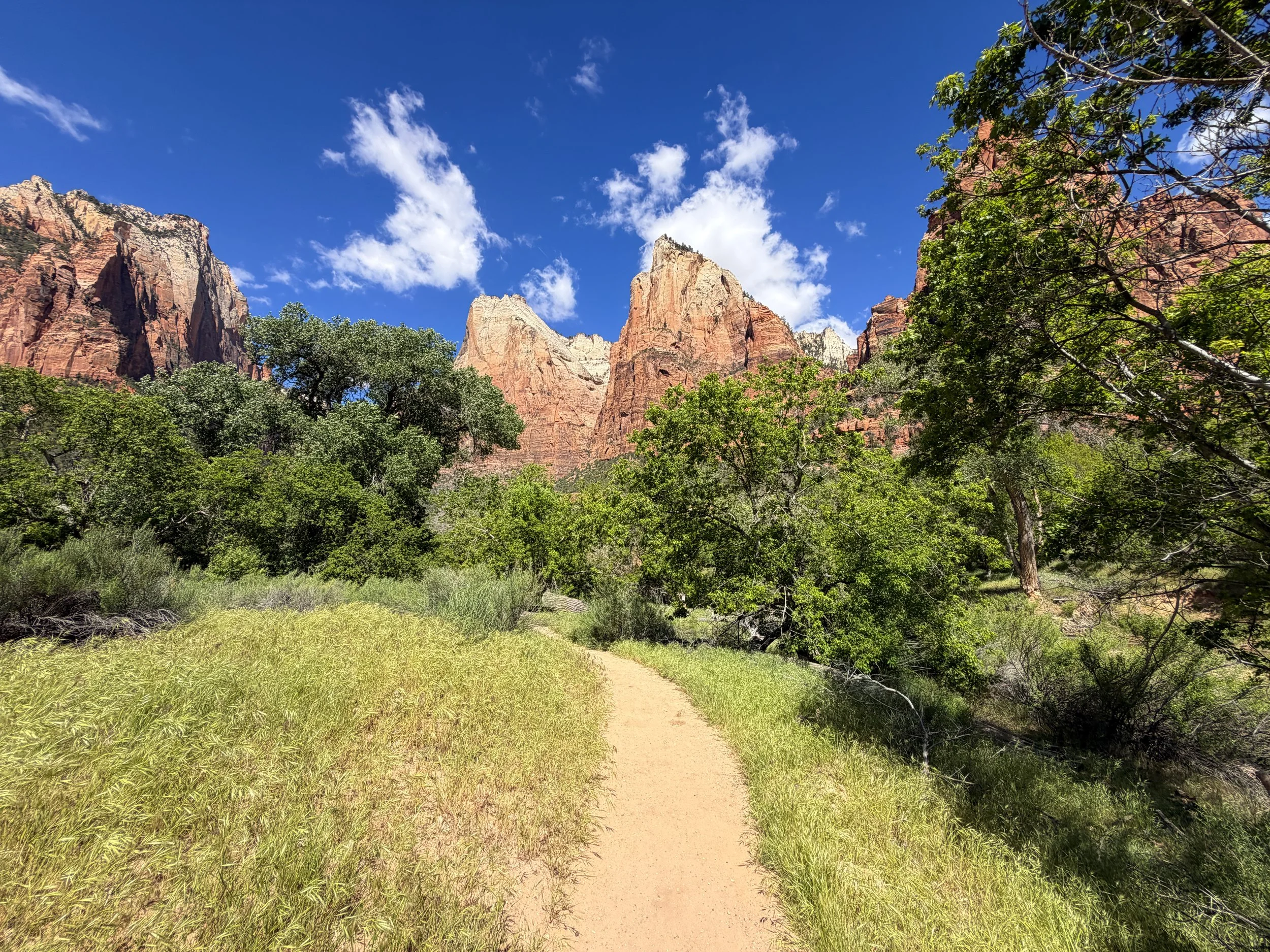 Sand Bench Trail Zion National Park Utah