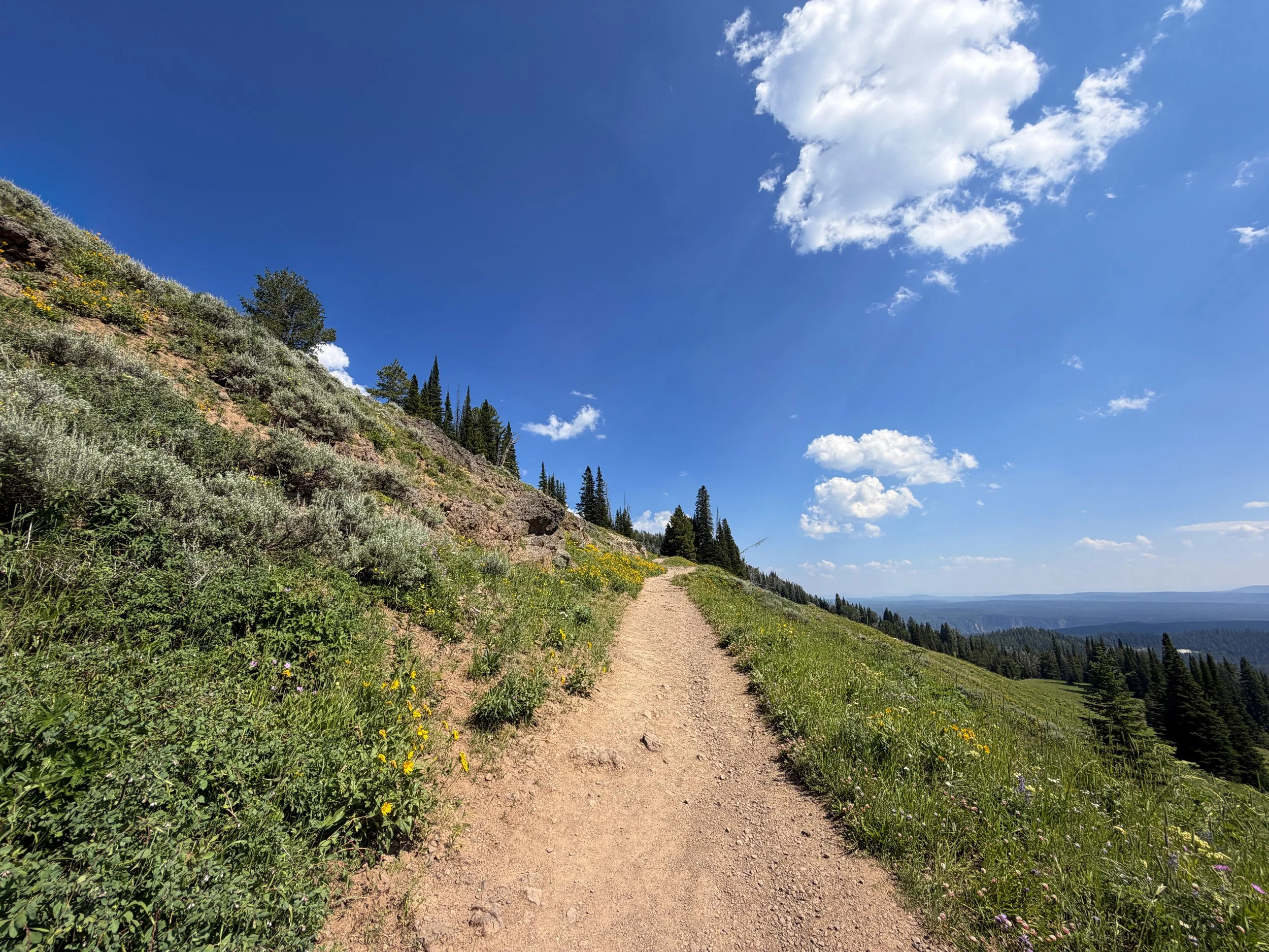 Mt. Washburn Trail via Dunraven Pass Yellowstone National Park Wyoming