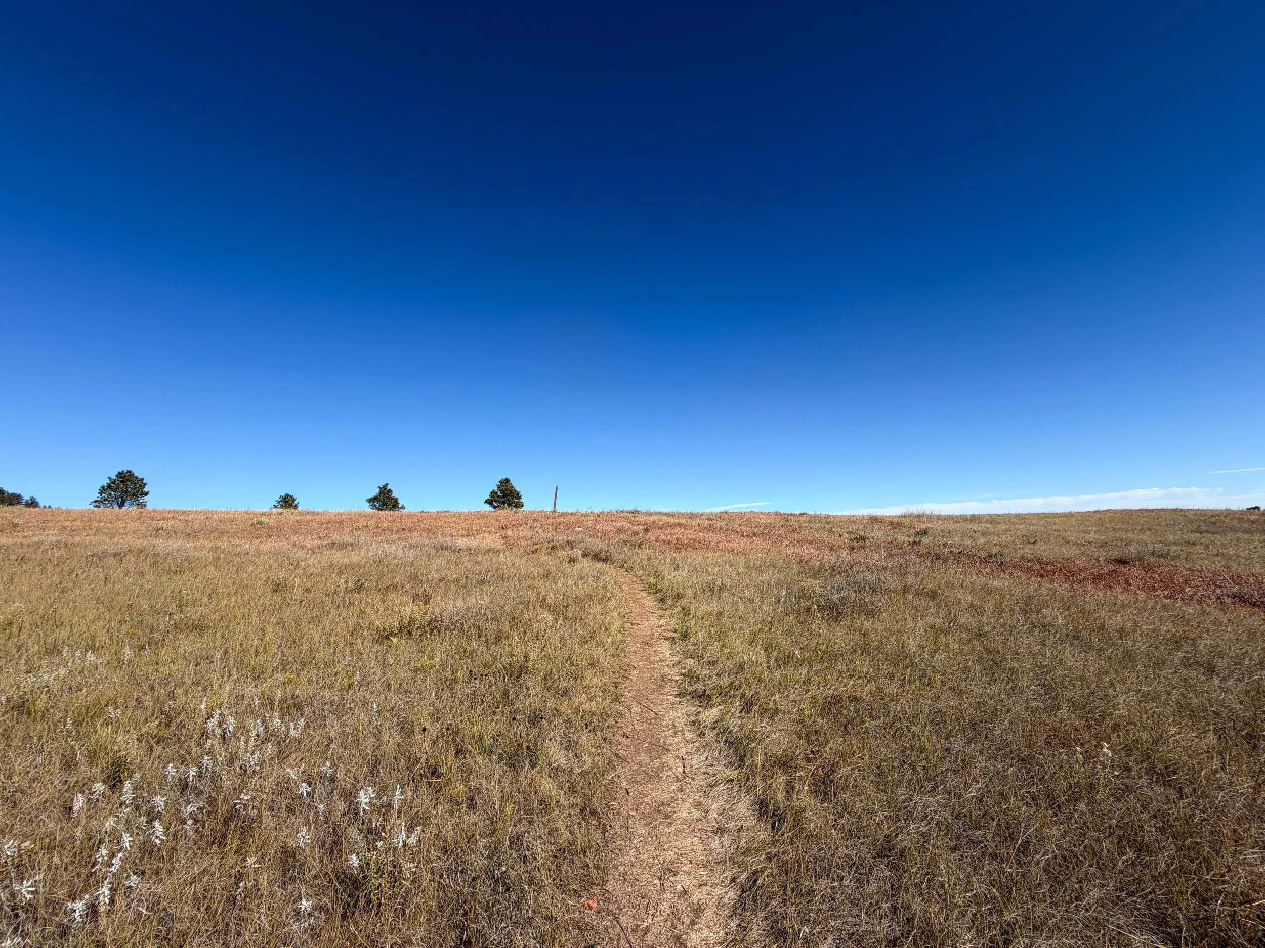 Elk Mountain Trail Wind Cave National Park South Dakota