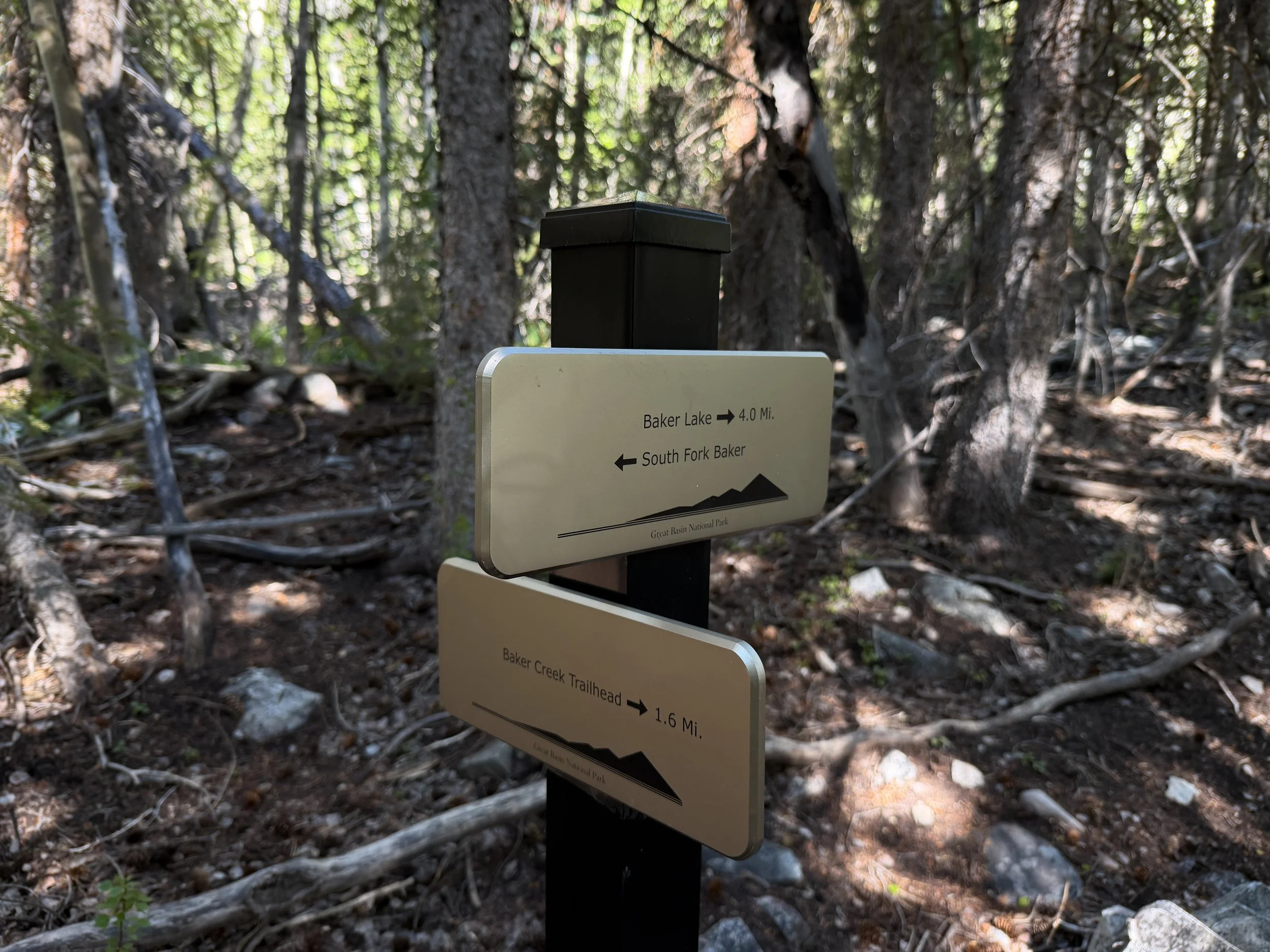 Baker Lake Trail Great Basin National Park Nevada