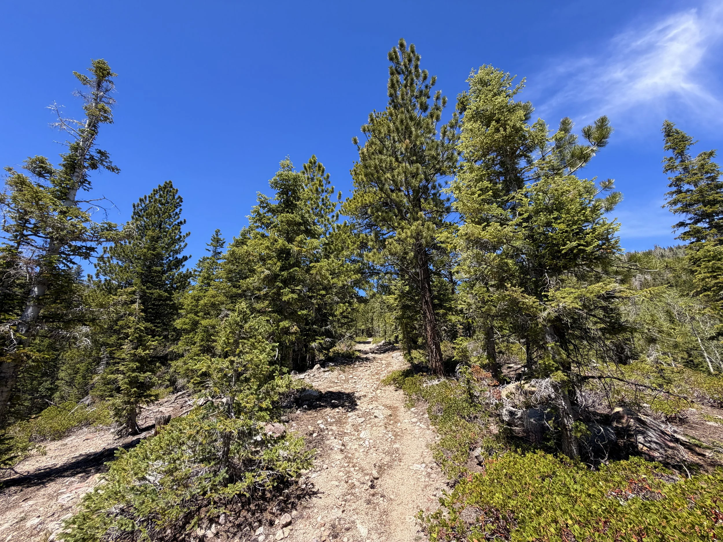 Dead Lake Hike Great Basin National Park Nevada