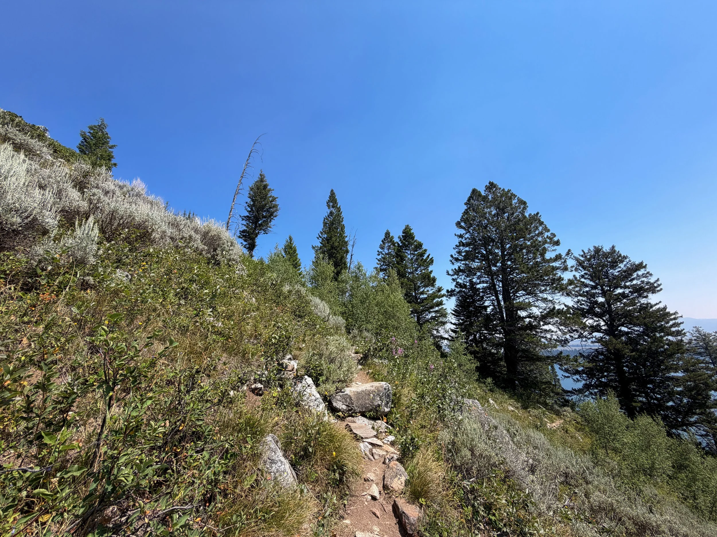Lake of the Crags Trail Grand Teton National Park Wyoming