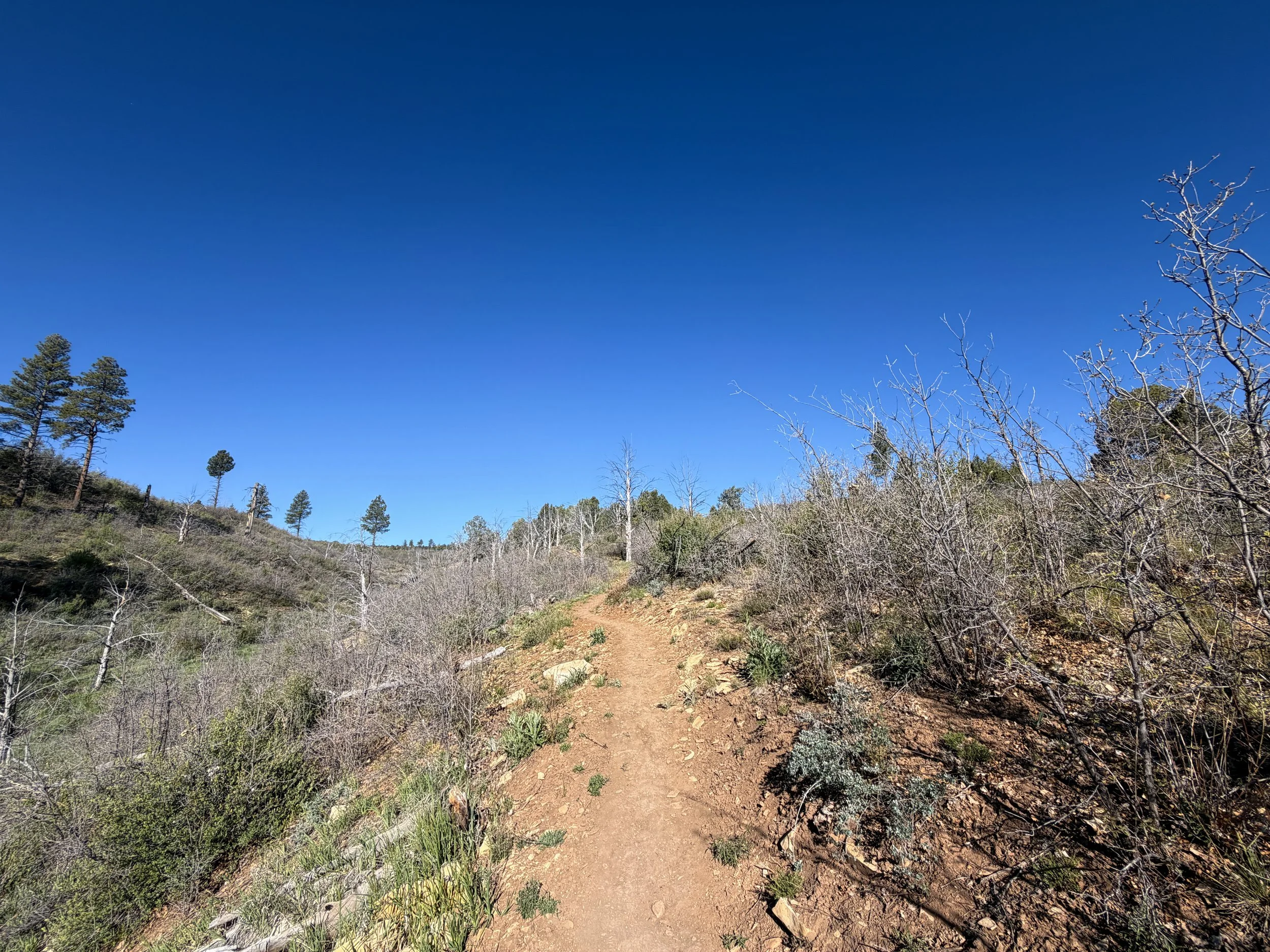 Deertrap Mountain Hike Zion National Park Utah