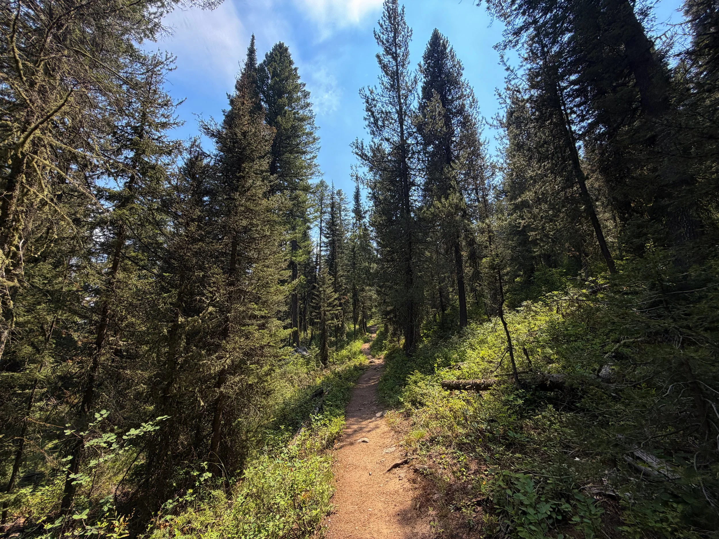 Phelps Lake Loop Trail Grand Teton National Park Wyoming