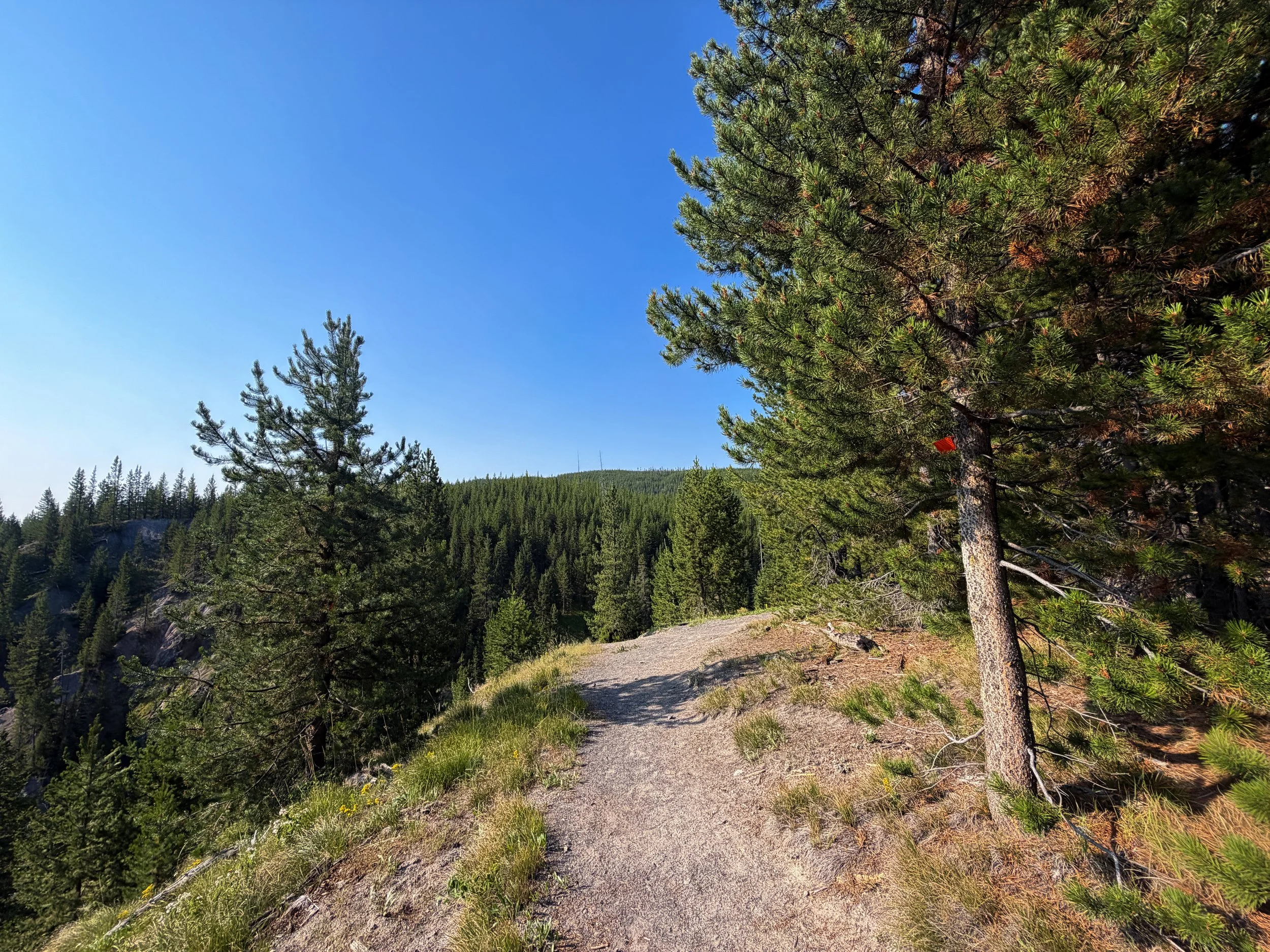 Mystic Falls Trail Yellowstone National Park Wyoming