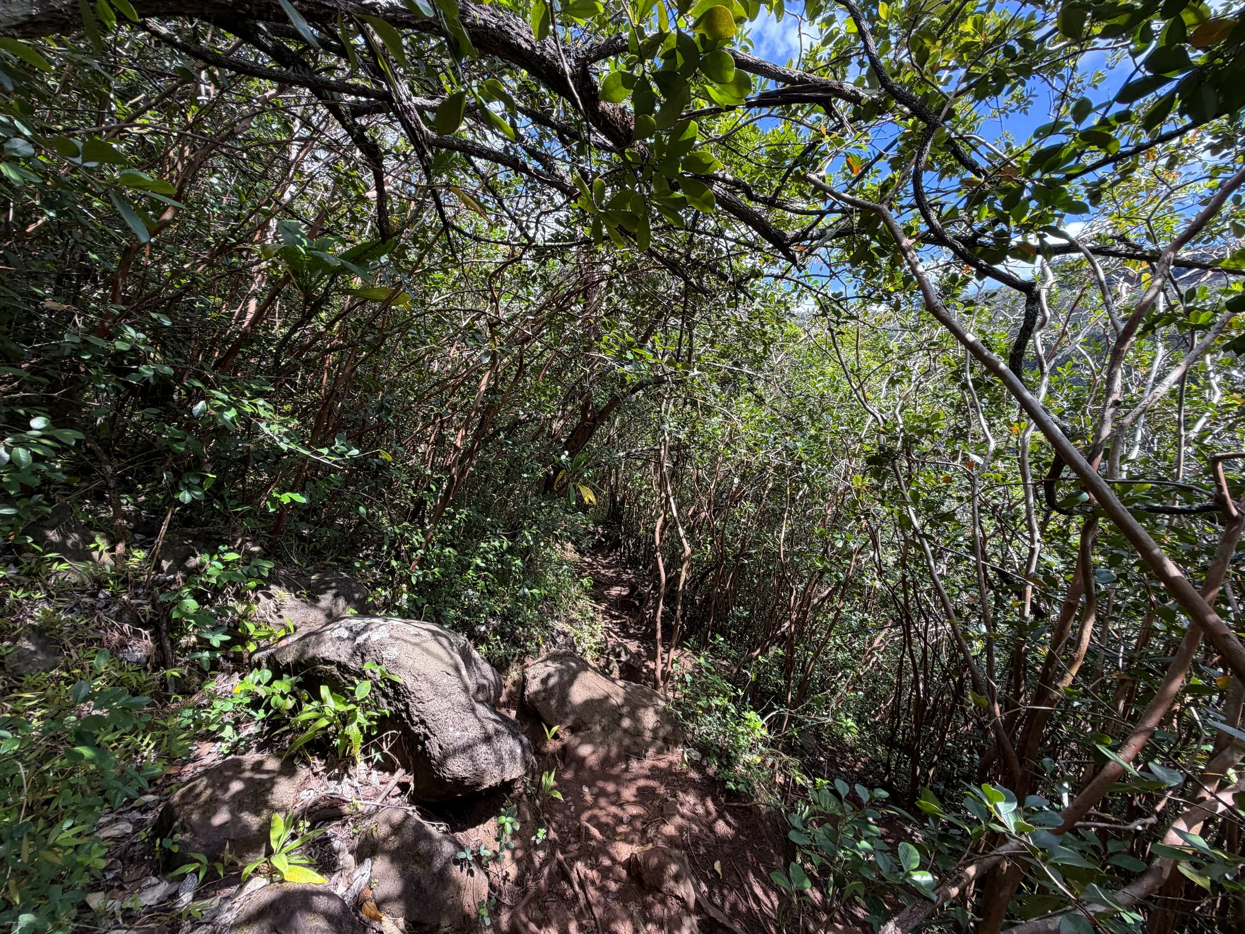 Waimano Pools Trail Oahu Hawaii