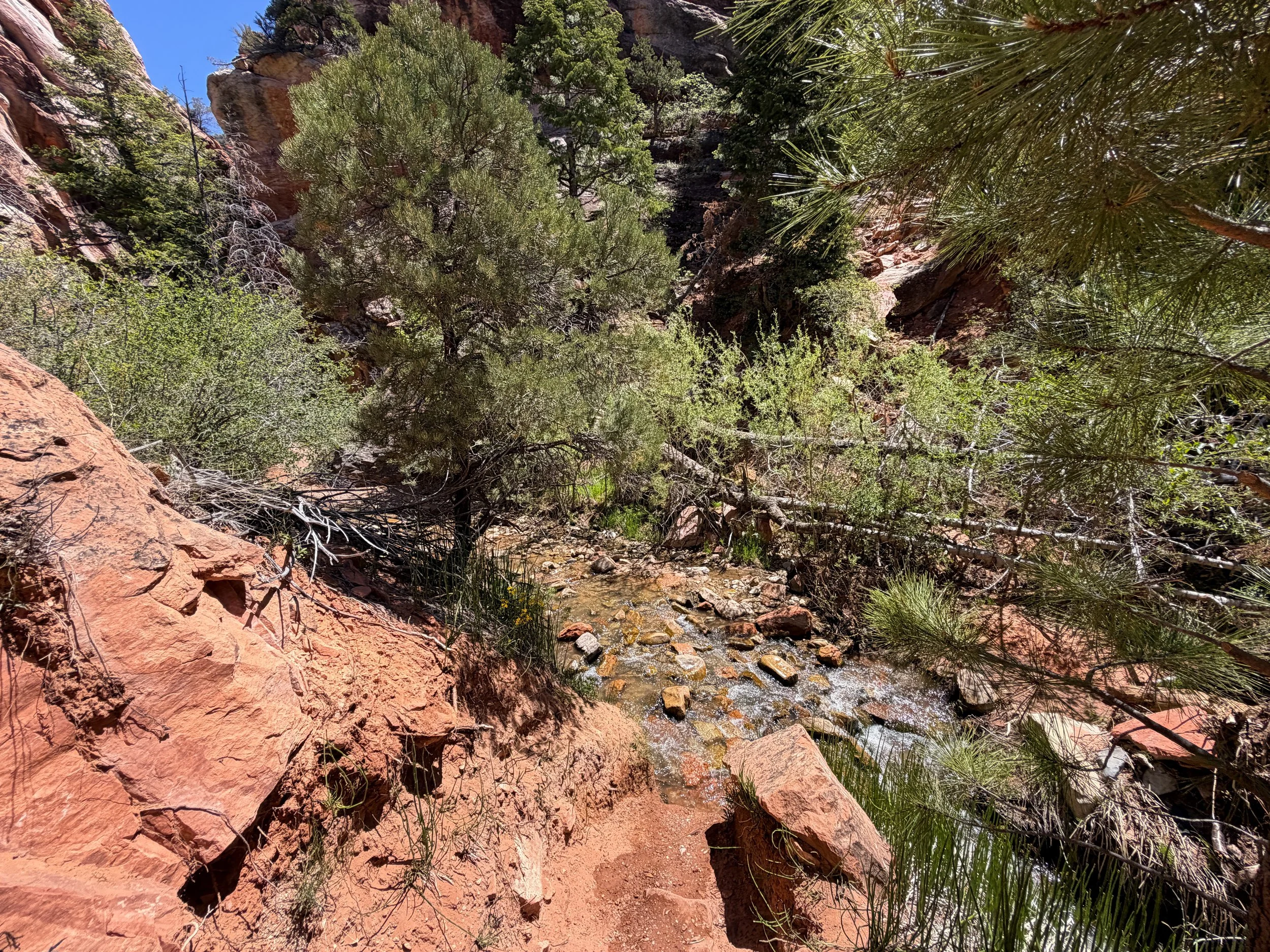 Kanarra Falls Hike Kanarraville Utah