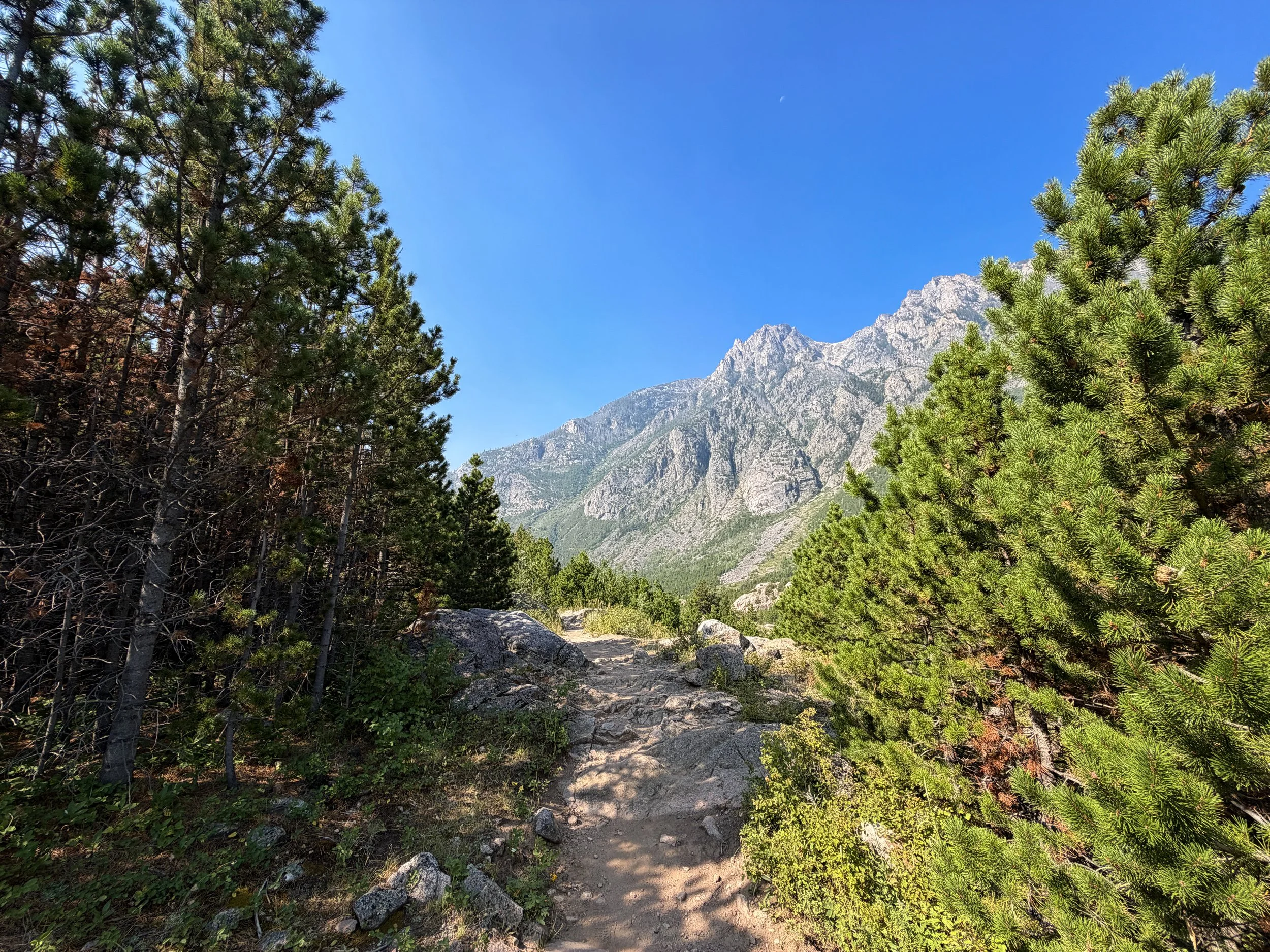 Beaten Path Trail Beartooth Mountains Montana