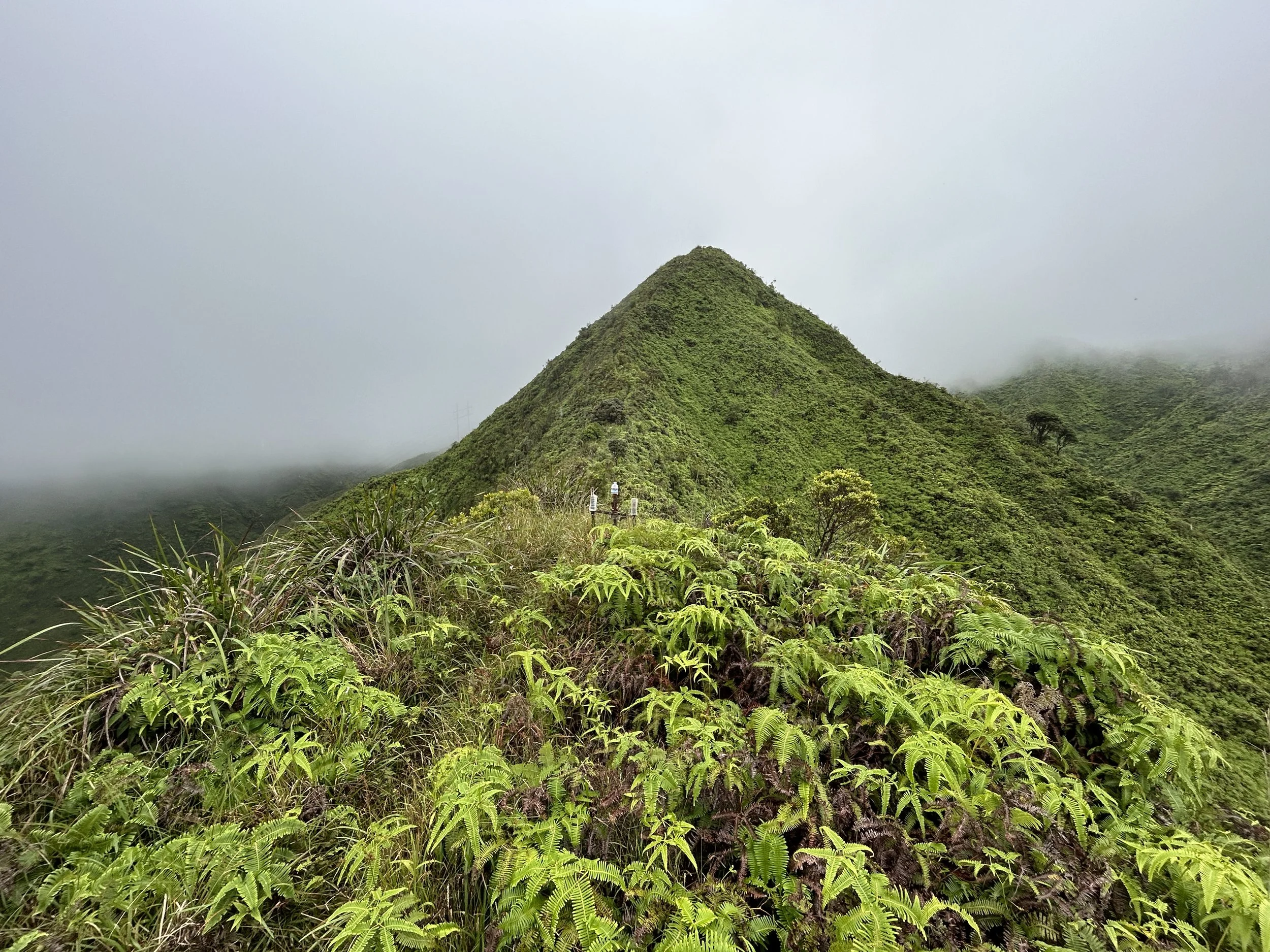 Hiking the Tripler Ridge Trail via Moanalua Valley on Oʻahu — noahawaii
