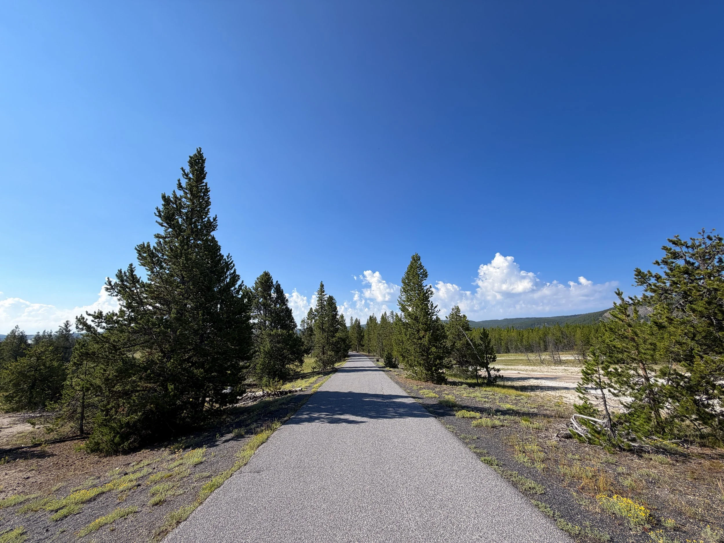 Upper Geyser Basin Trail Yellowstone National Park Wyoming