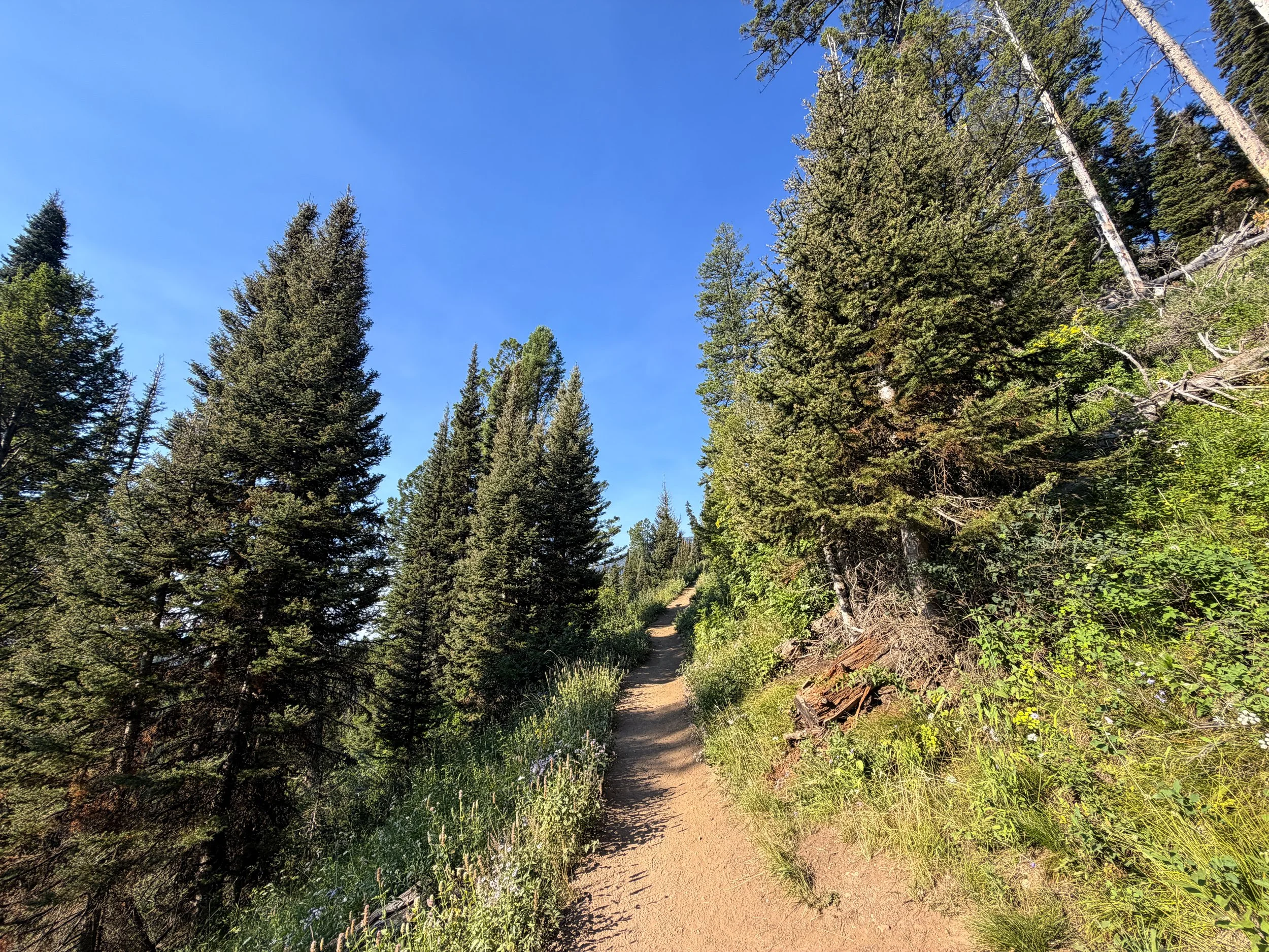 Delta Lake Trail Switchbacks Grand Teton National Park Wyoming
