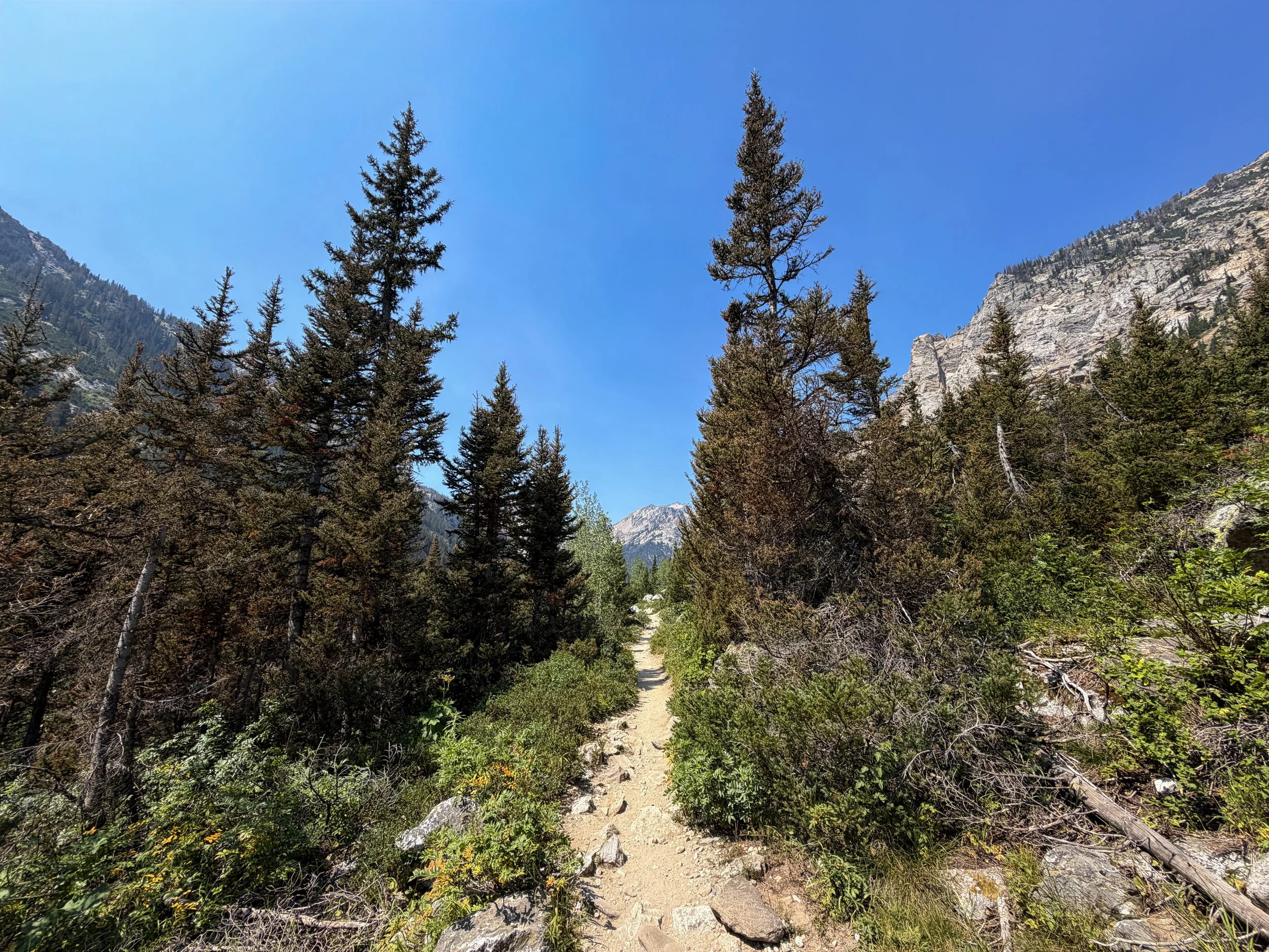 Cascade Canyon Hike Grand Teton National Park Wyoming