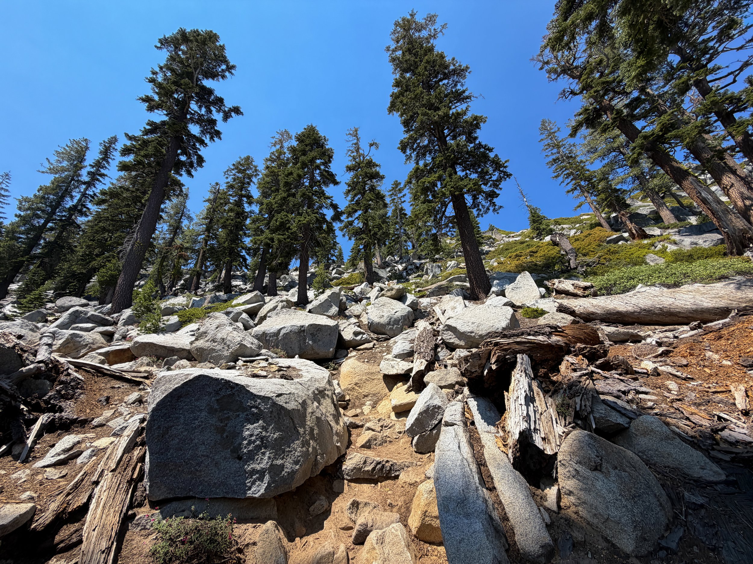Maggies Peak Hike Lake Tahoe California