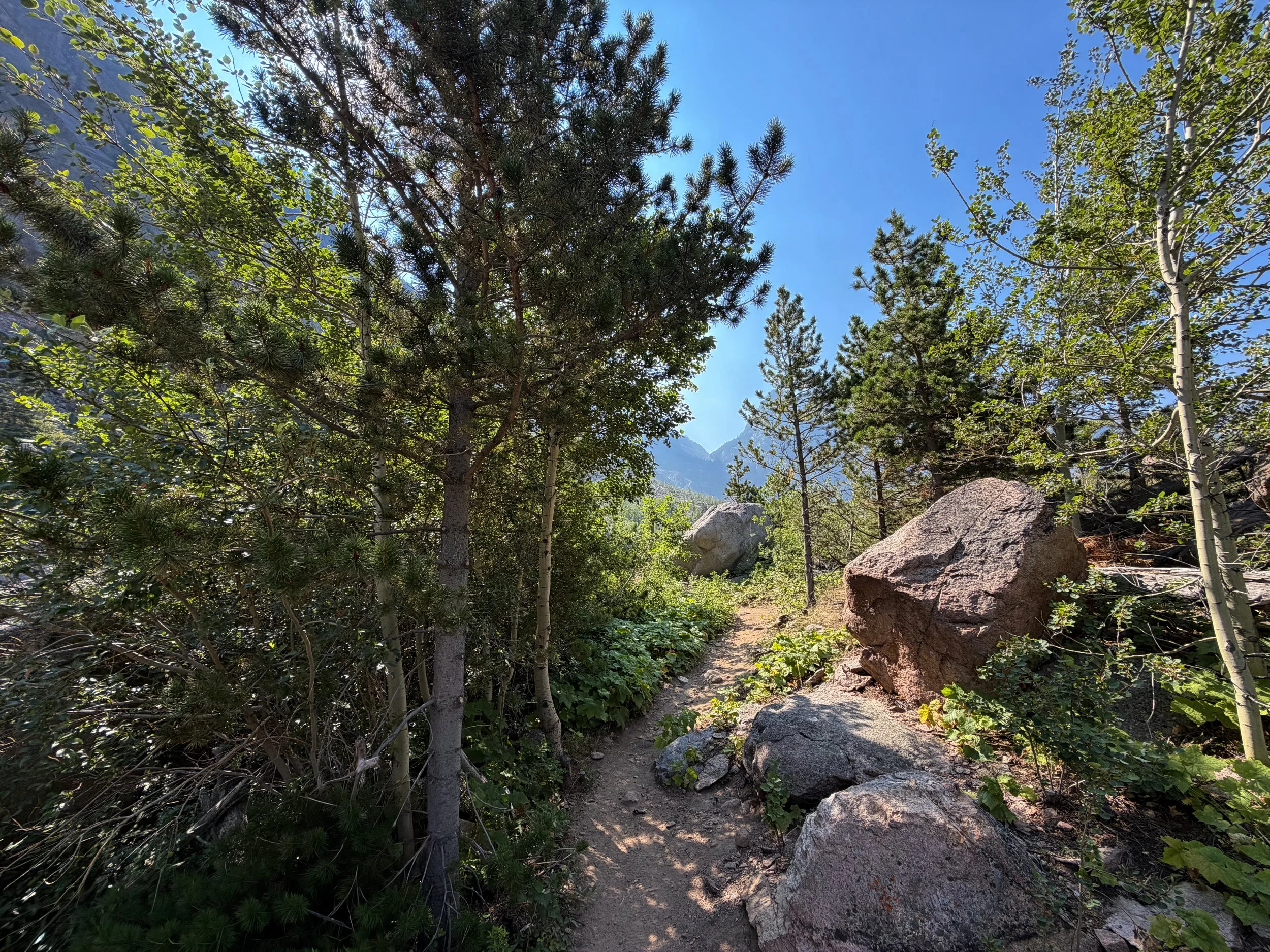 The Beaten Path Trail Beartooth Mountains Montana