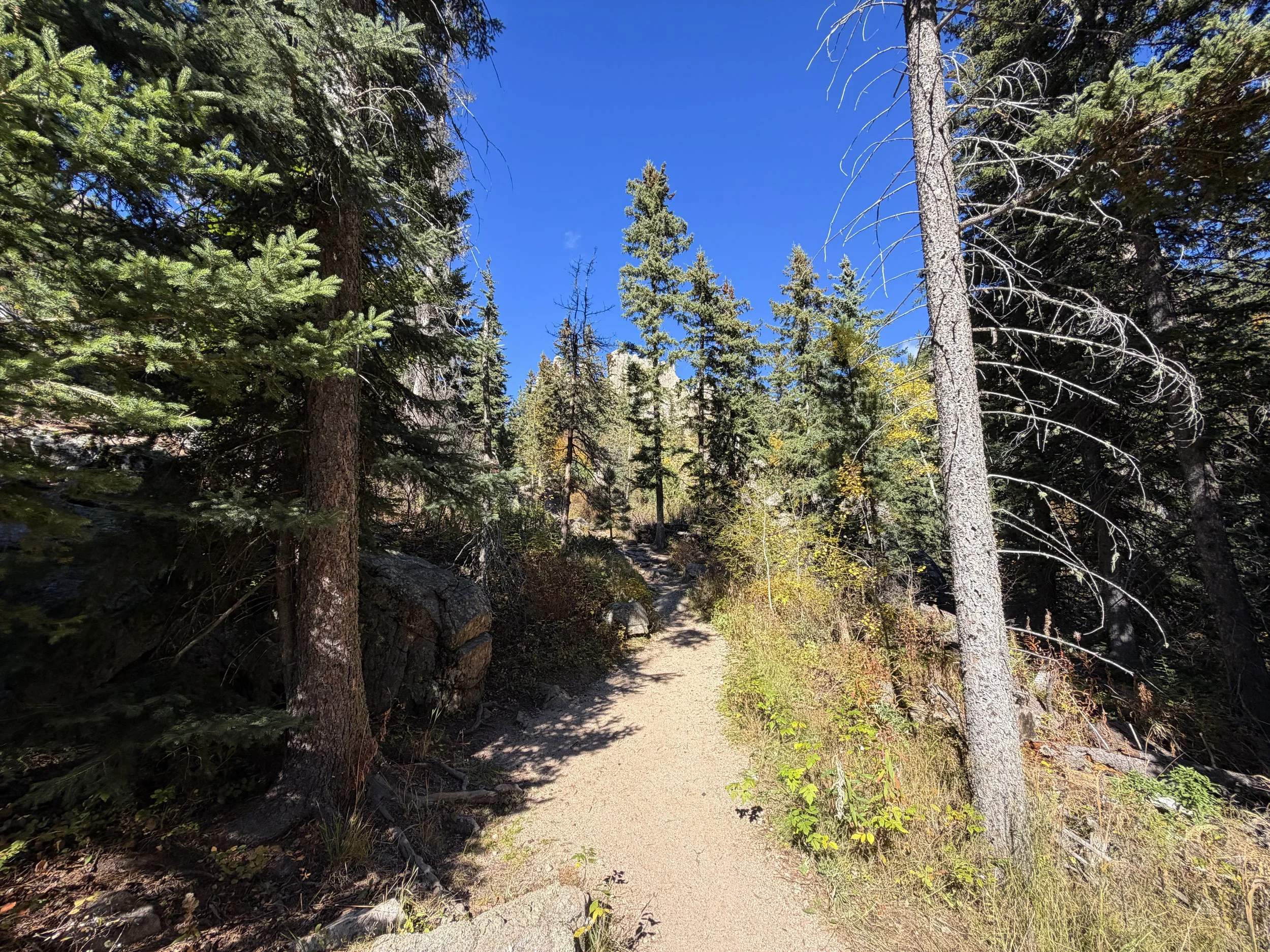 Cathedral Spires Trail Custer State Park Black Hills South Dakota