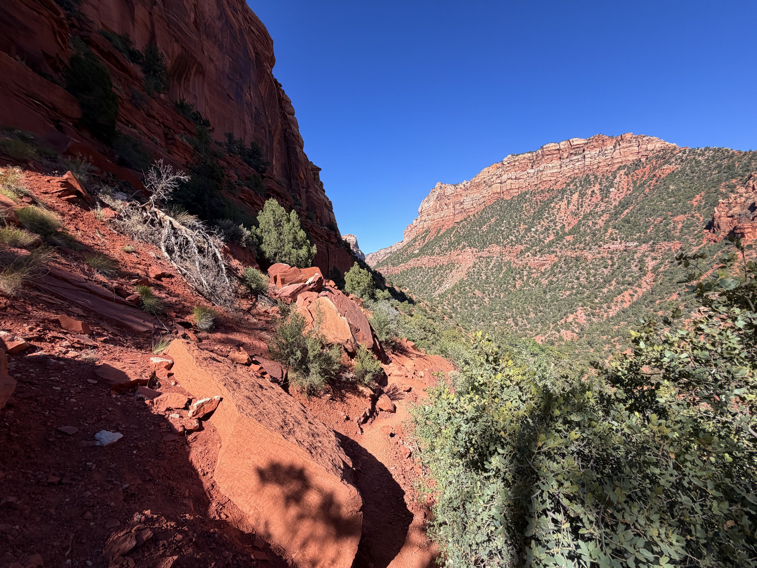 Subway Trail Left Fork North Creek Zion National Park Utah