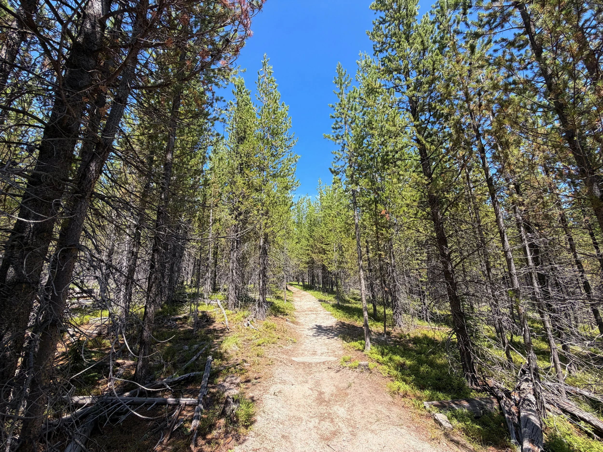 Duck Lake Trail Yellowstone National Park Wyoming