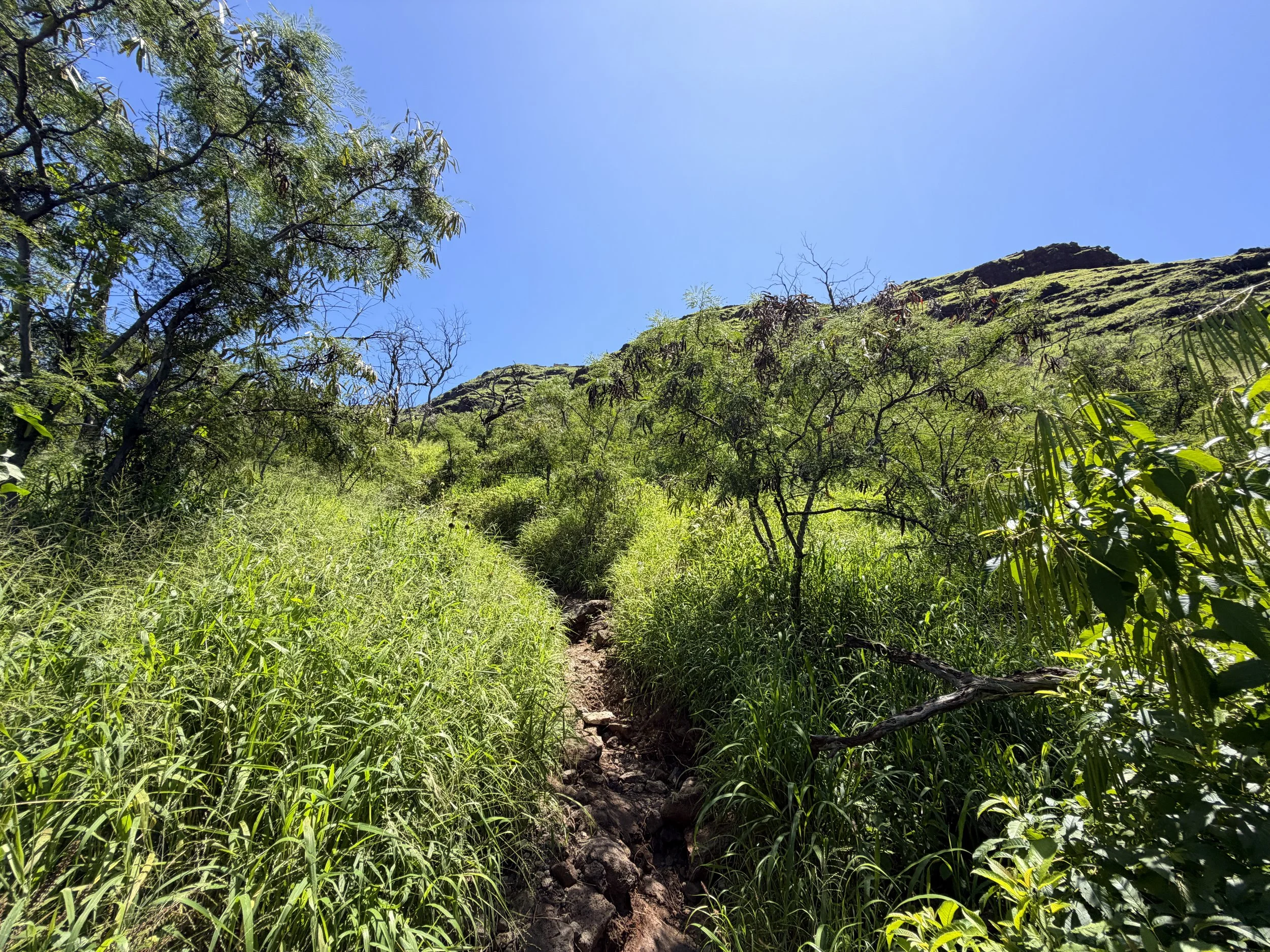 Puu O Hulu Trail Oahu Hawaii
