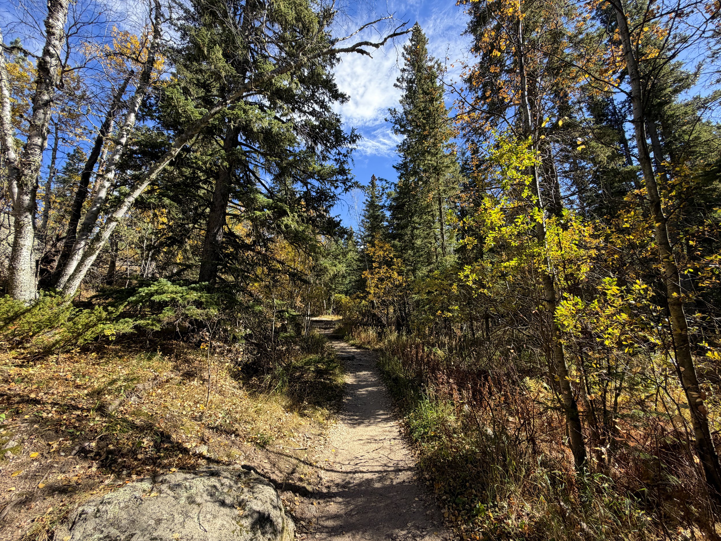Black Elk Peak Trail Black Hills South Dakota